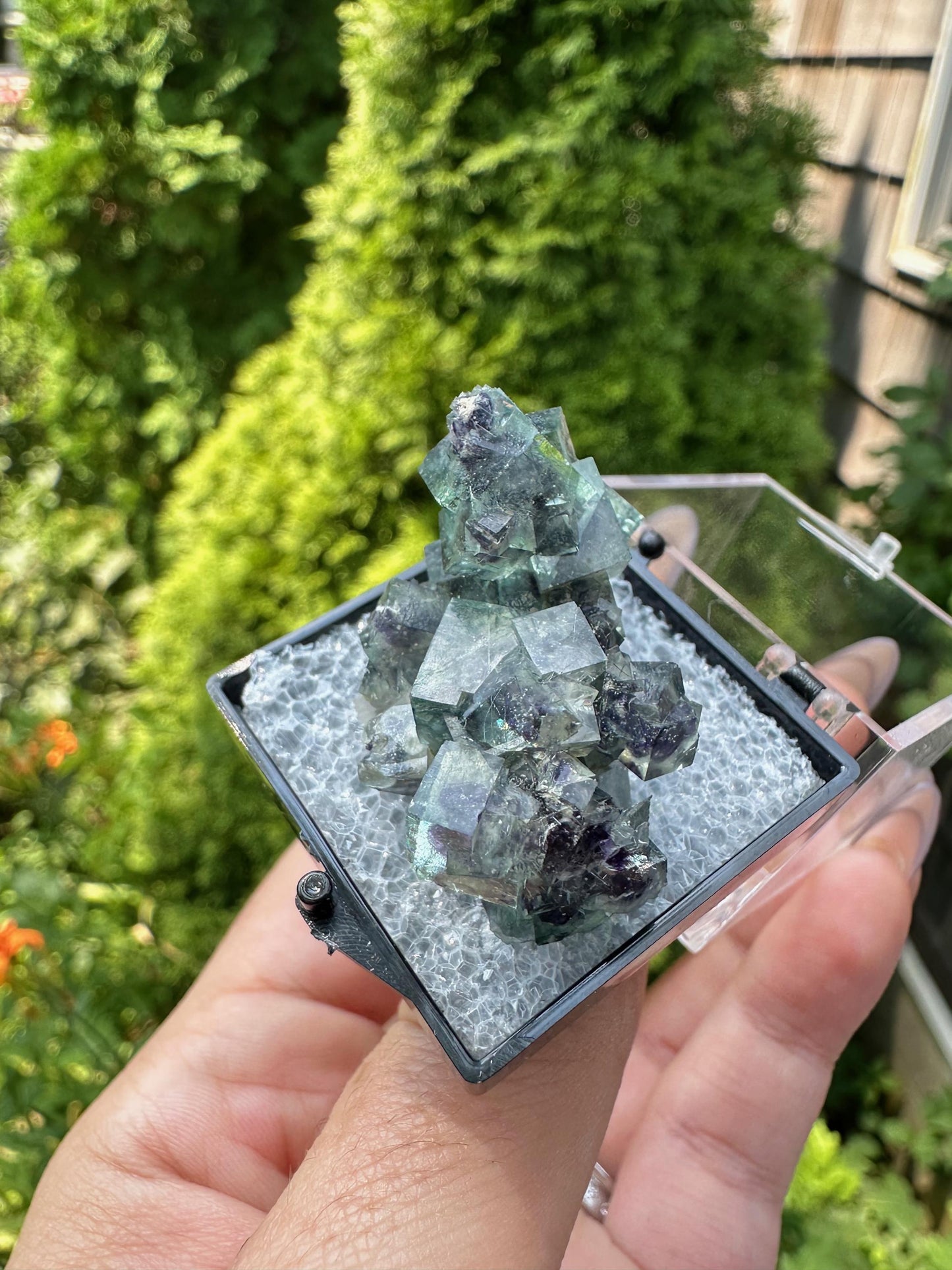 YGX Bismuthinite in Fluorite from China