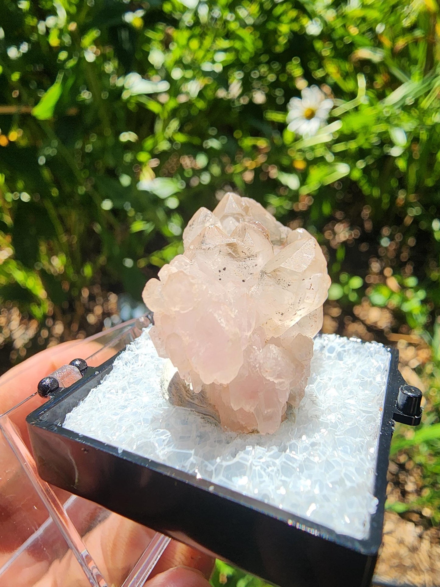 Pitorra Claim Rose Quartz (Canga Rosa) from Minas Gerais, Brazil