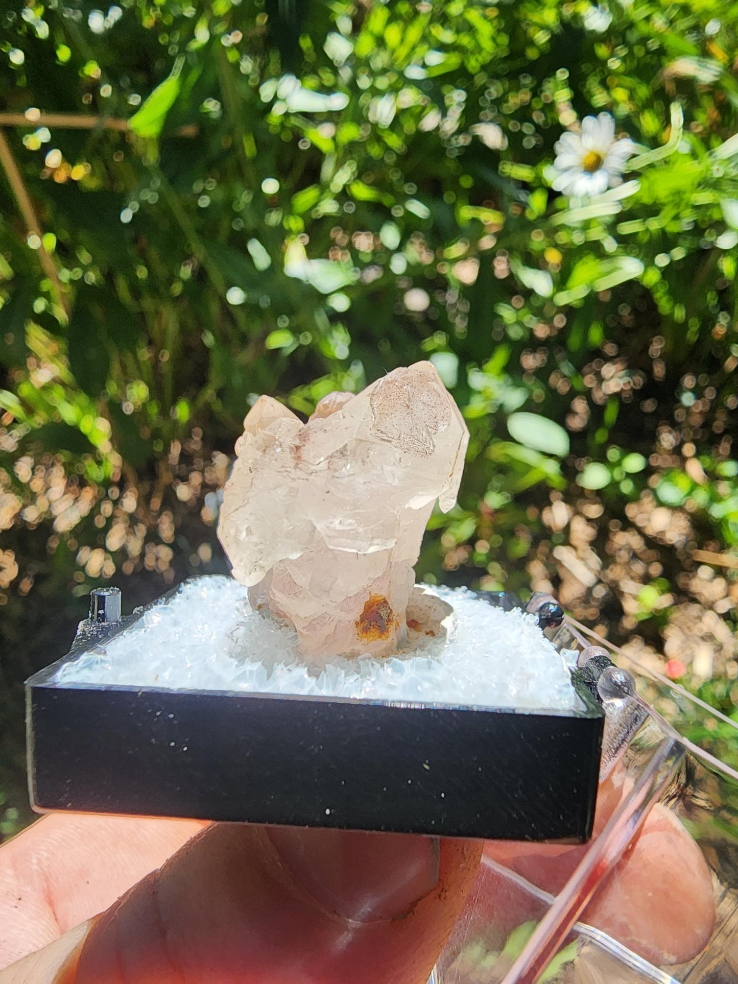 Pitorra Claim Rose Quartz (Canga Rosa) from Minas Gerais, Brazil