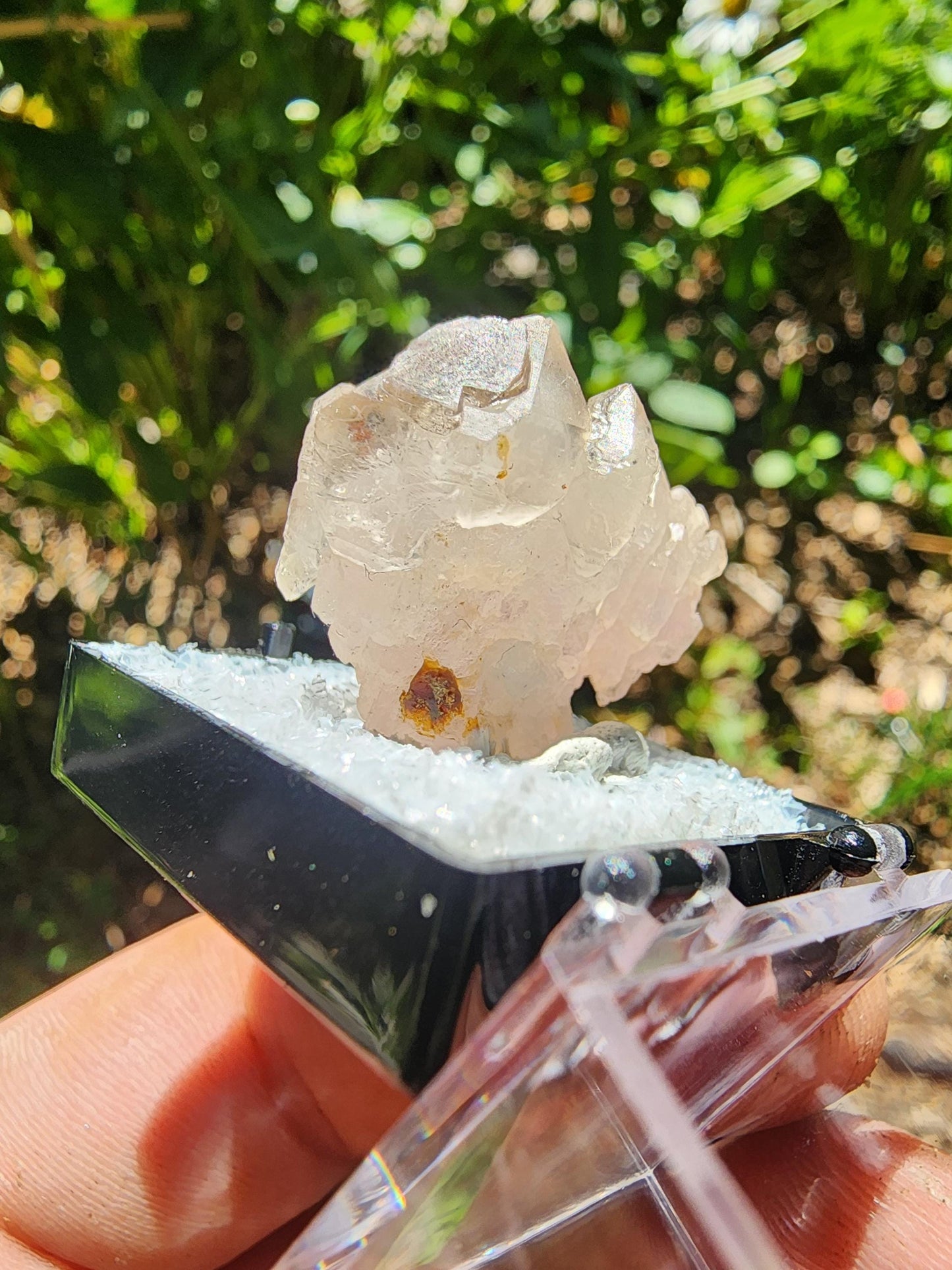 Pitorra Claim Rose Quartz (Canga Rosa) from Minas Gerais, Brazil