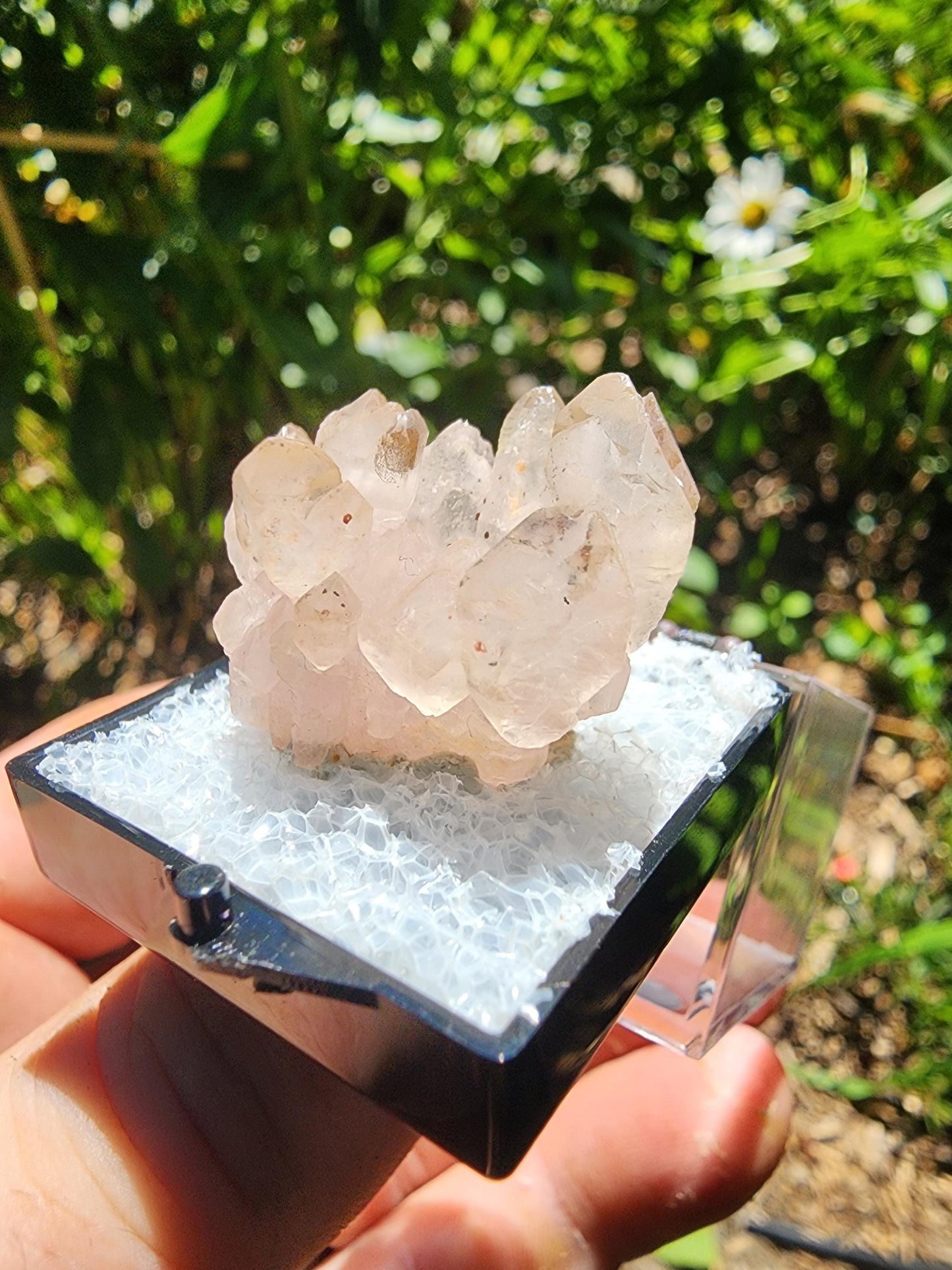 Pitorra Claim Rose Quartz (Canga Rosa) from Minas Gerais, Brazil