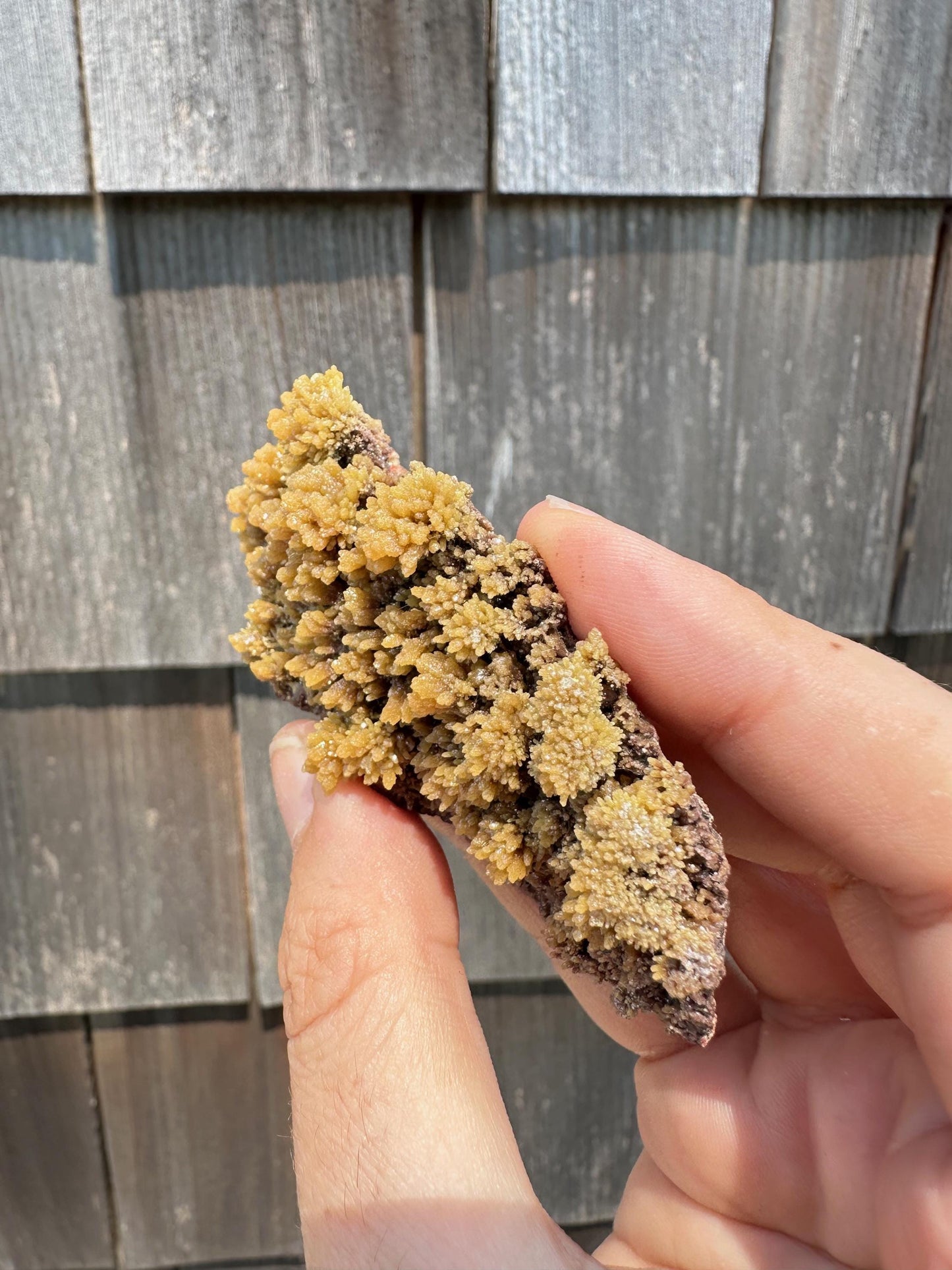 Old Collection Mimetite from Ojuela Mine Mexico