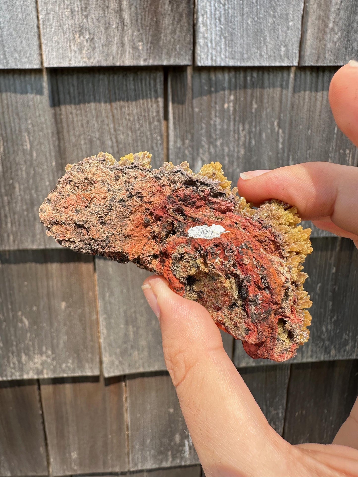 Old Collection Mimetite from Ojuela Mine Mexico