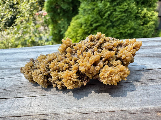 Old Collection Mimetite from Ojuela Mine Mexico