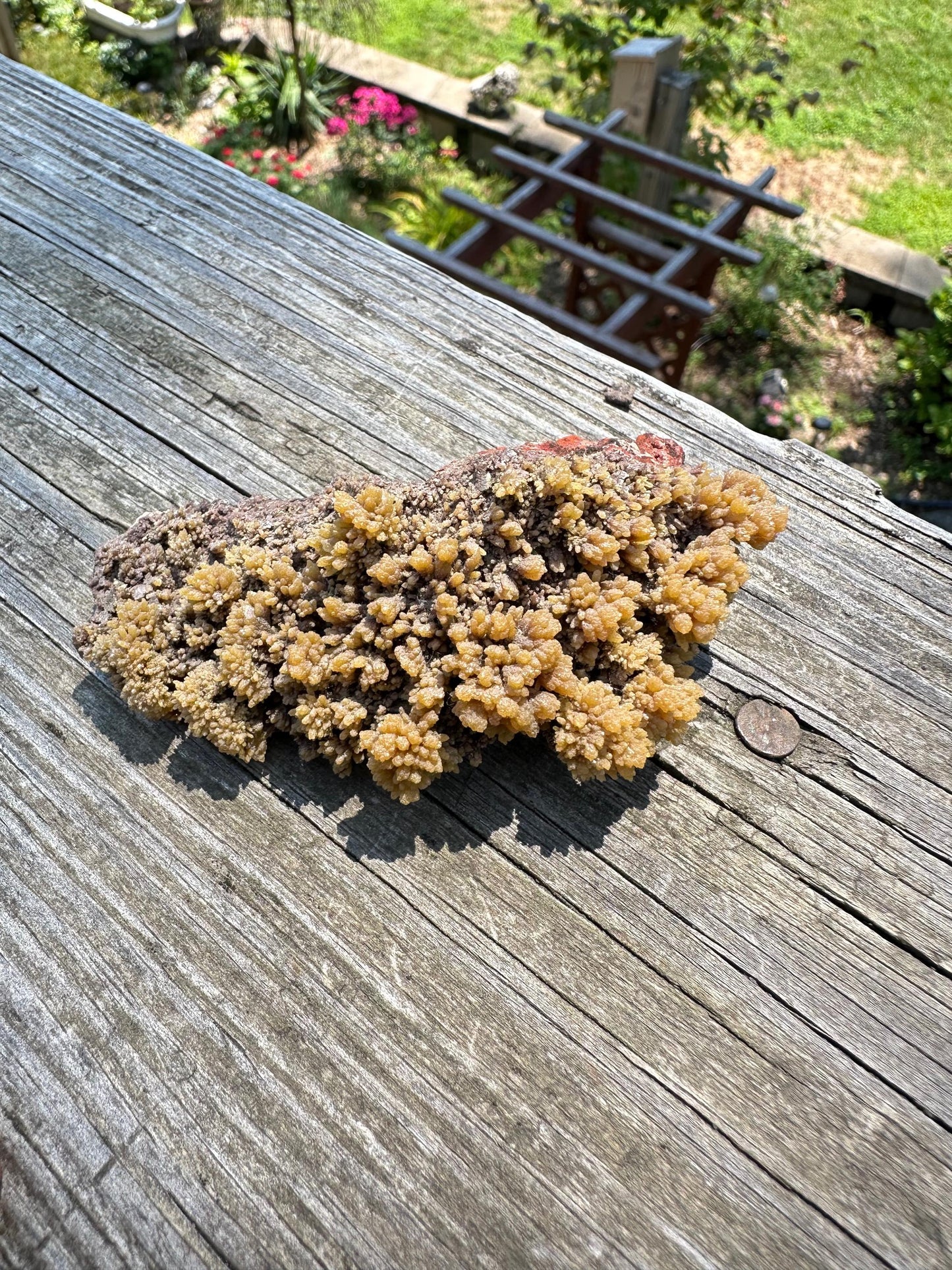 Old Collection Mimetite from Ojuela Mine Mexico