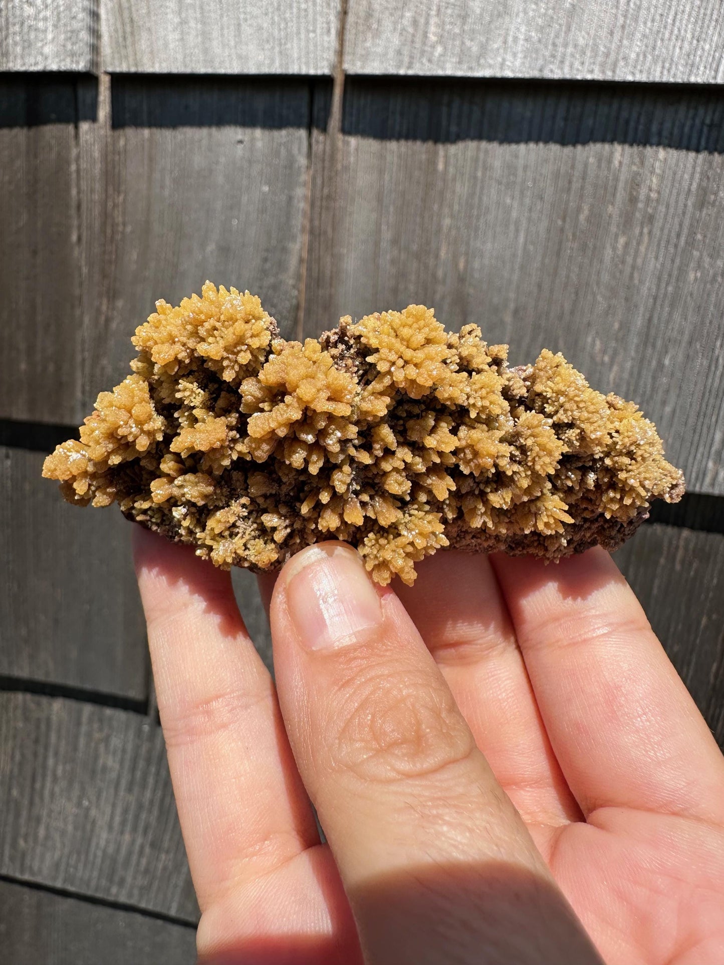 Old Collection Mimetite from Ojuela Mine Mexico