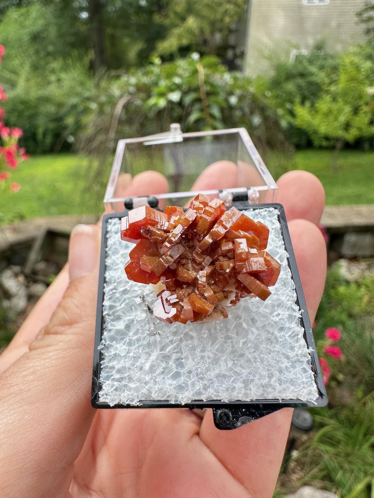 Bright Red Vanadinite Crystals from Morocco