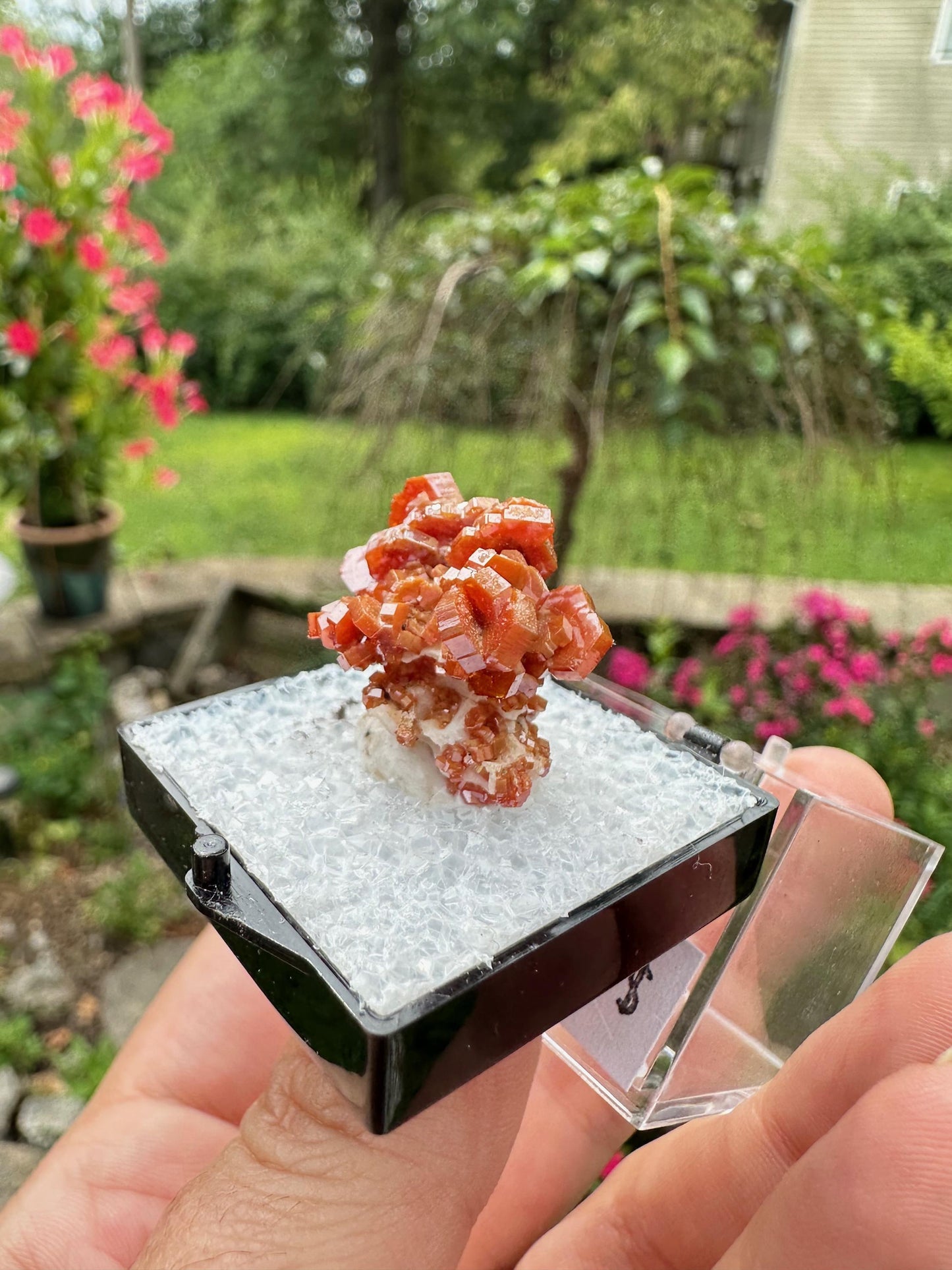 Bright Red Vanadinite Crystals from Morocco