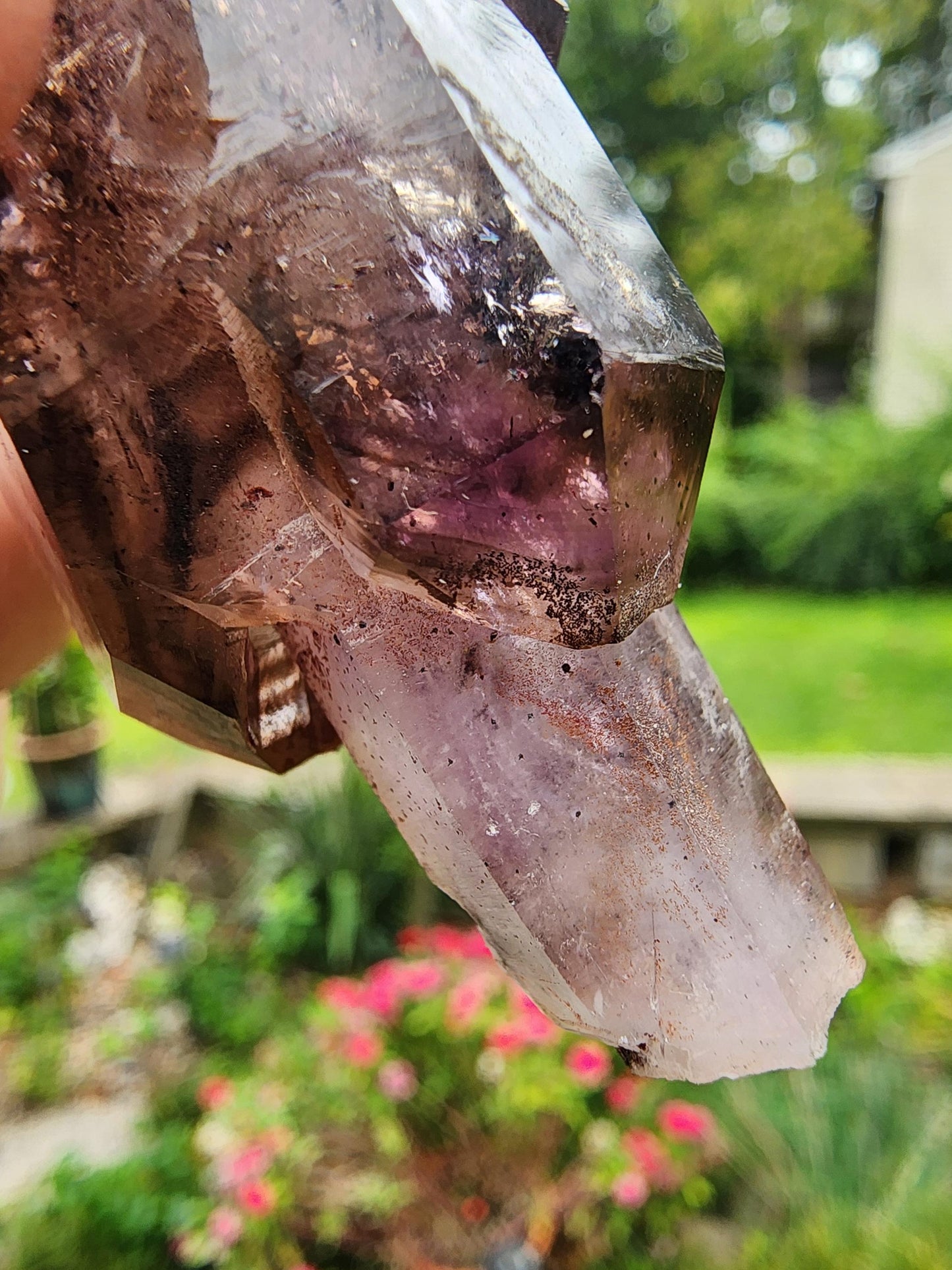 Smoky Amethyst Scepter with Hematite Inclusions from Chibuku Mine, Zimbabwe