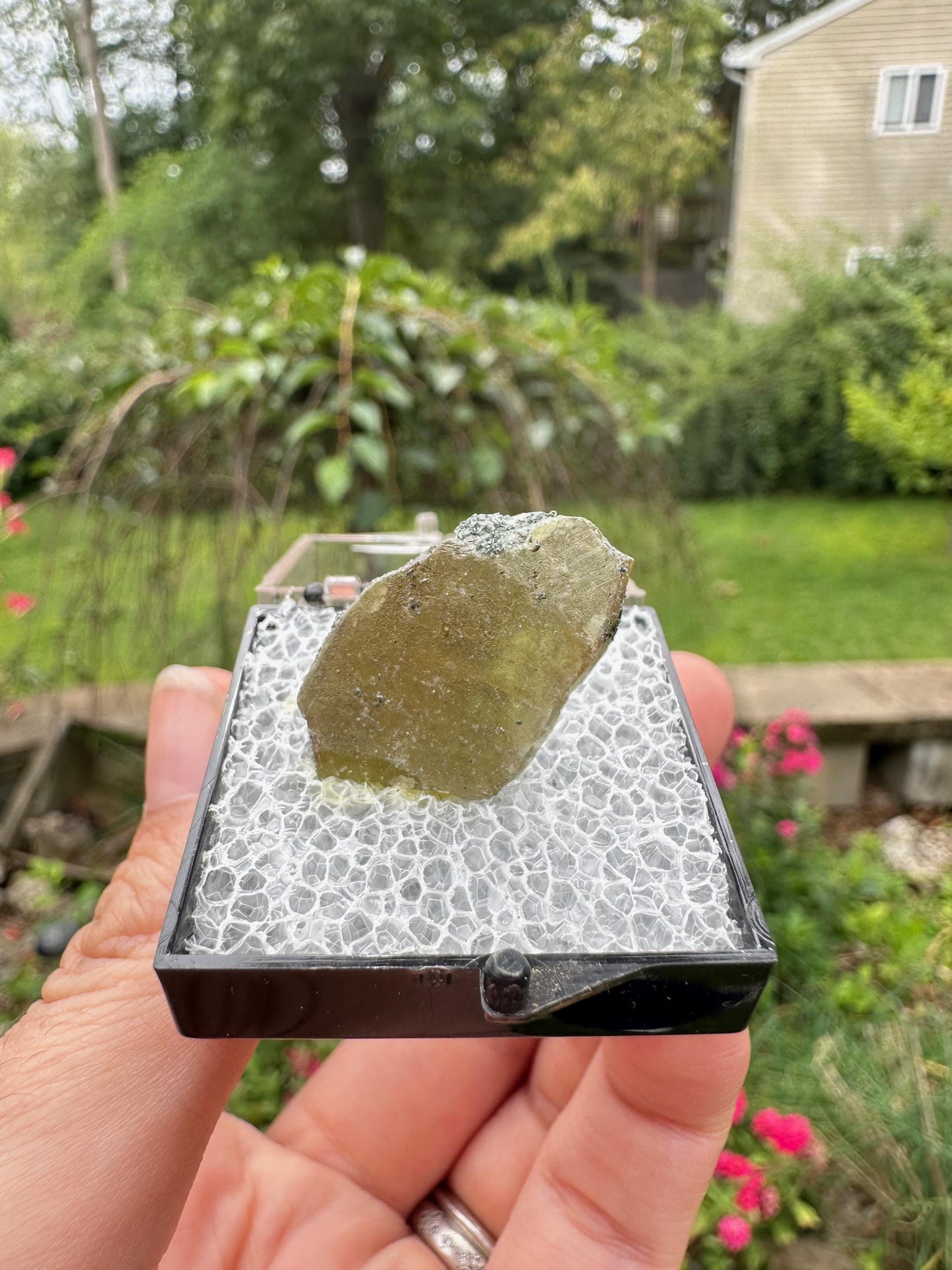 Titanite (Sphene) from Acushnet, Massachusetts, USA