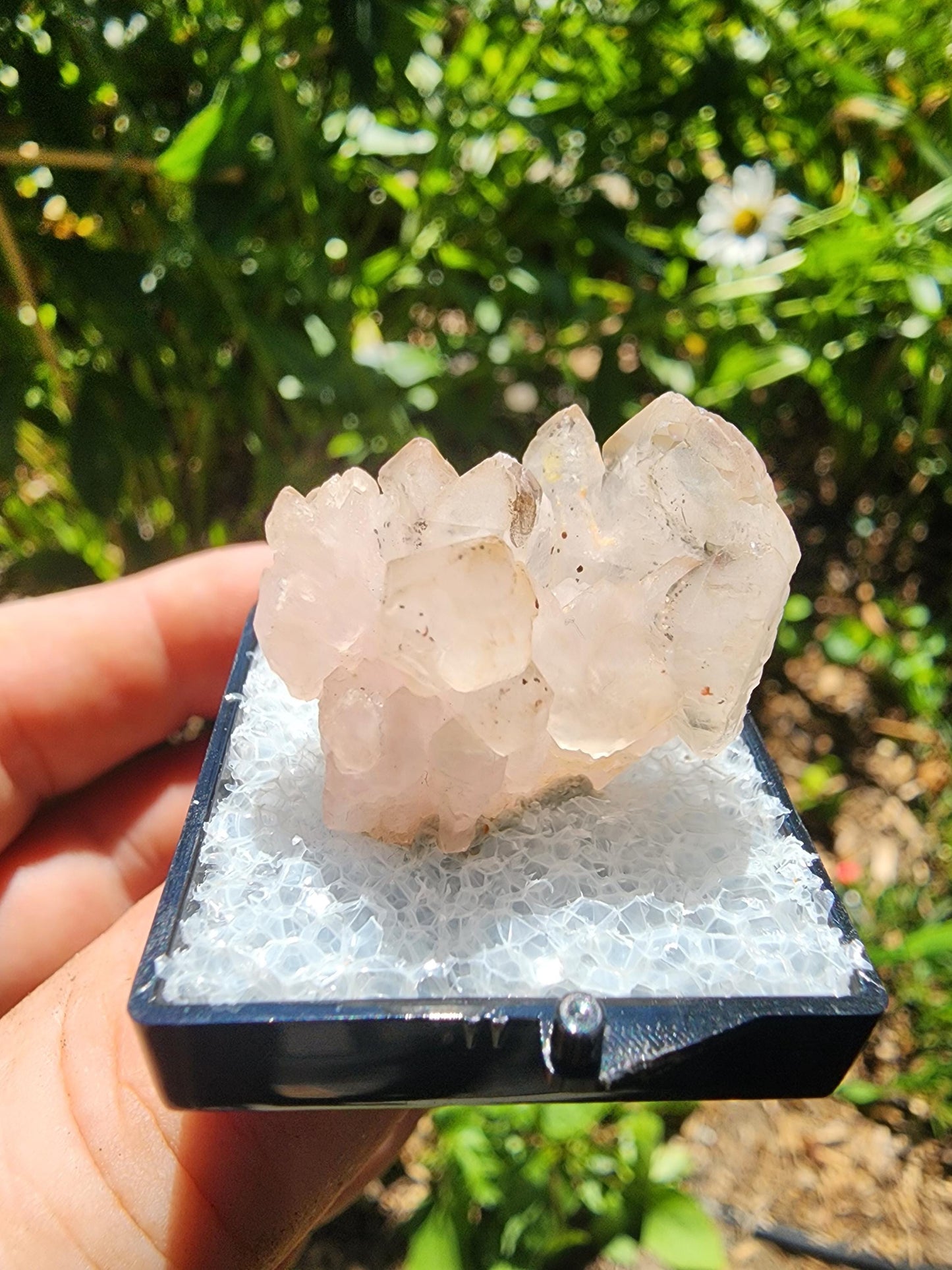 Pitorra Claim Rose Quartz (Canga Rosa) from Minas Gerais, Brazil