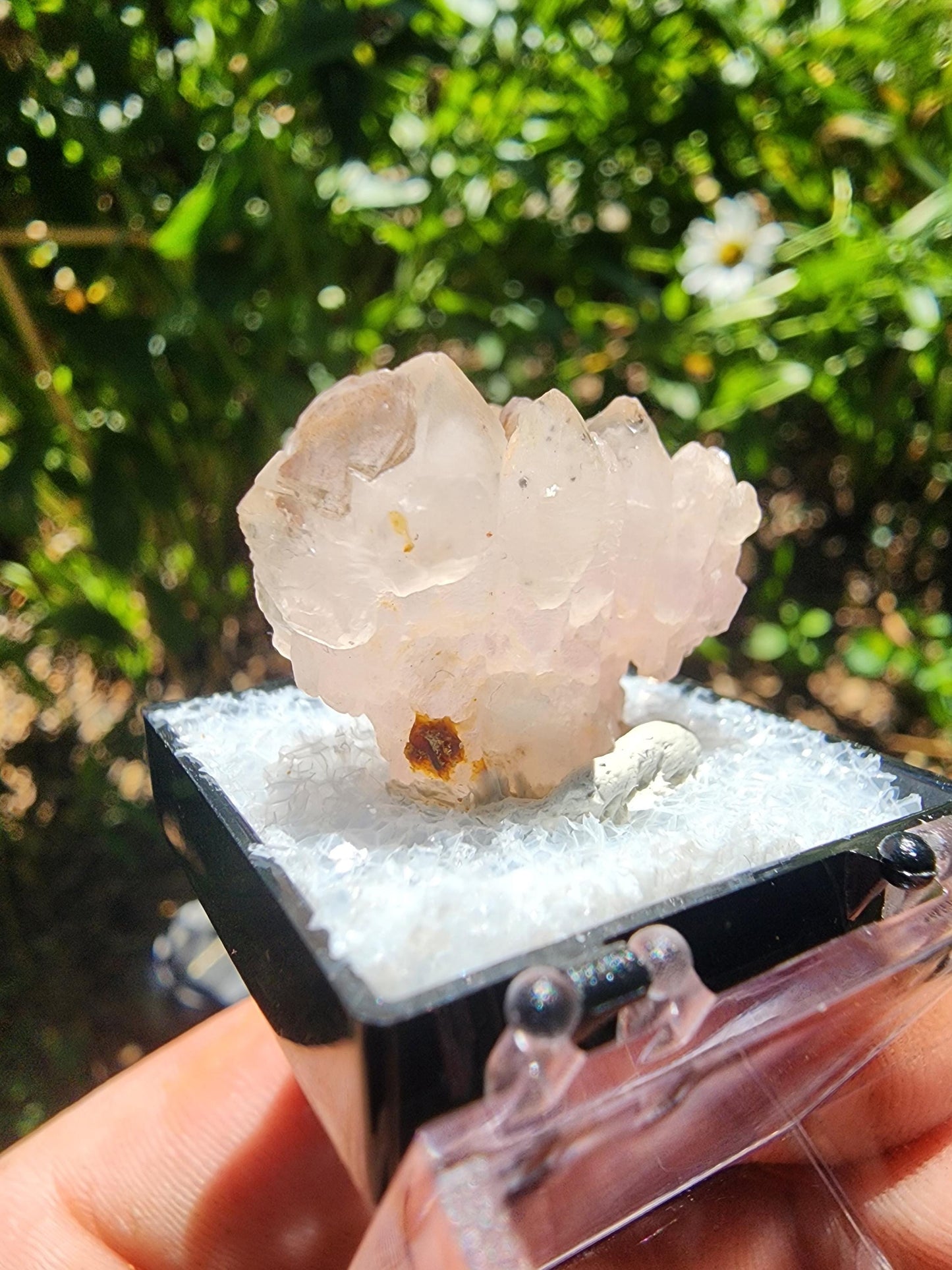 Pitorra Claim Rose Quartz (Canga Rosa) from Minas Gerais, Brazil