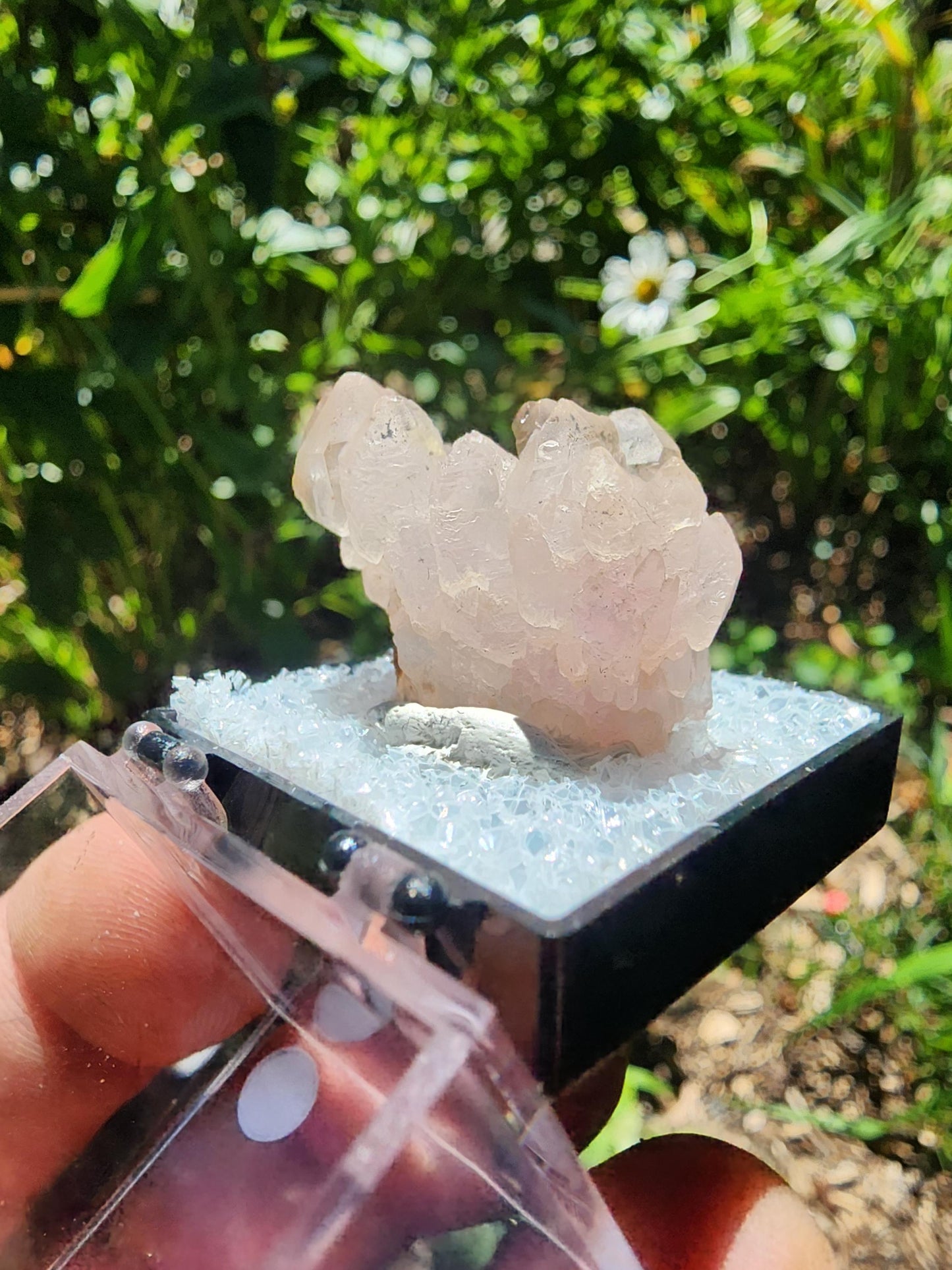 Pitorra Claim Rose Quartz (Canga Rosa) from Minas Gerais, Brazil