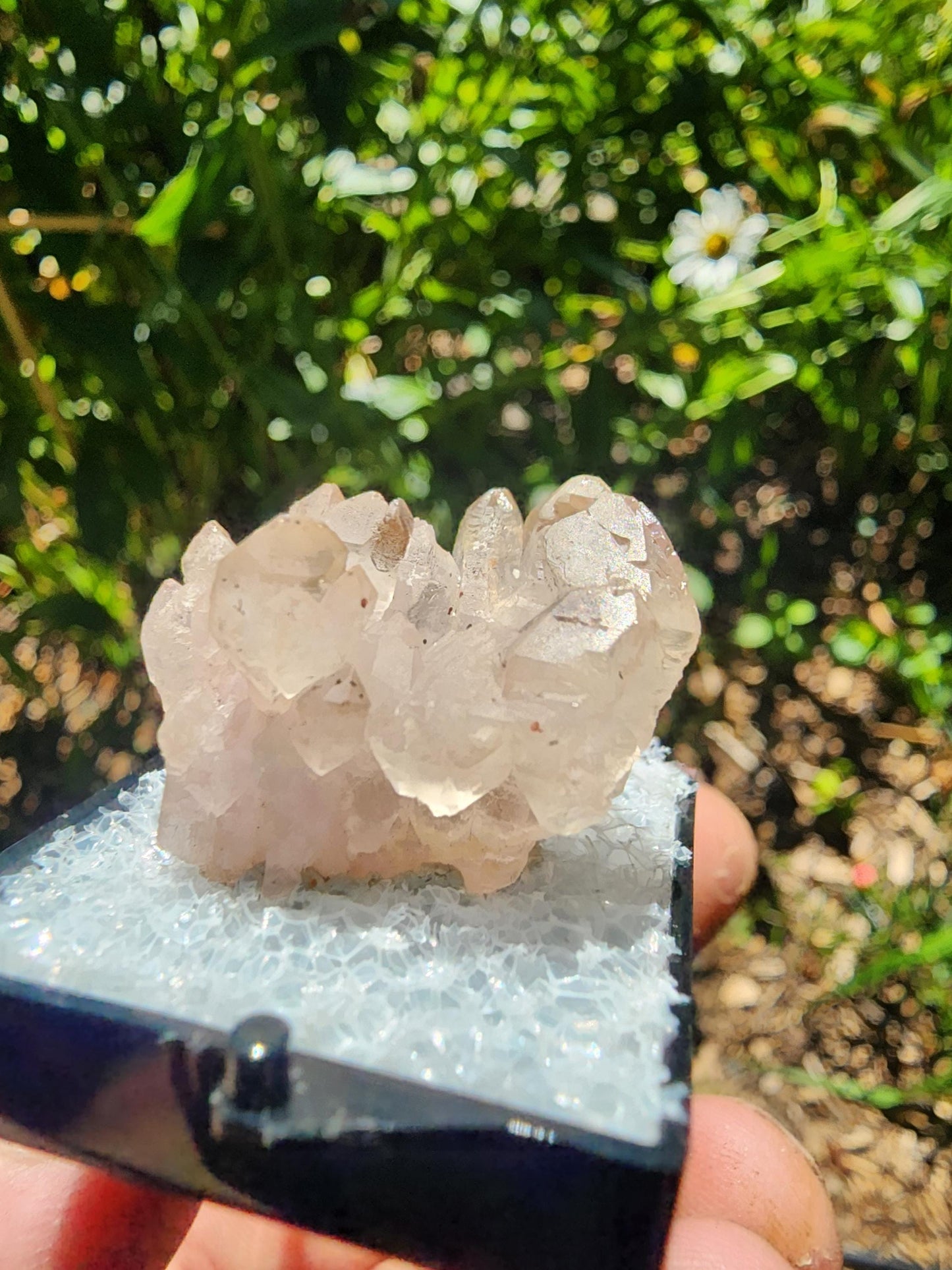 Pitorra Claim Rose Quartz (Canga Rosa) from Minas Gerais, Brazil