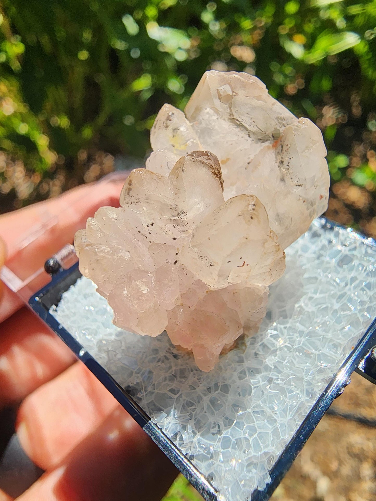 Pitorra Claim Rose Quartz (Canga Rosa) from Minas Gerais, Brazil