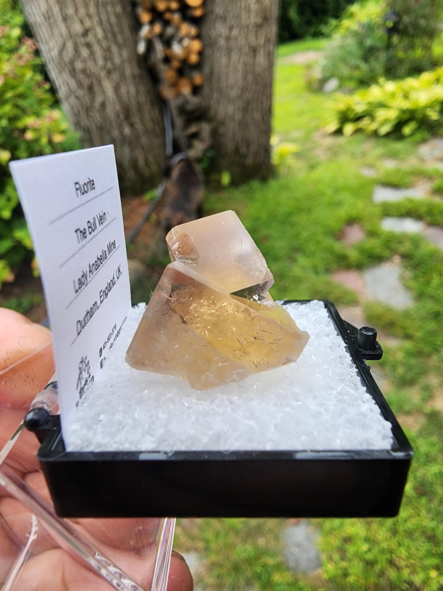Yellow Fluorite from Bull Vein Pocket at Lady Annabella Mine UK