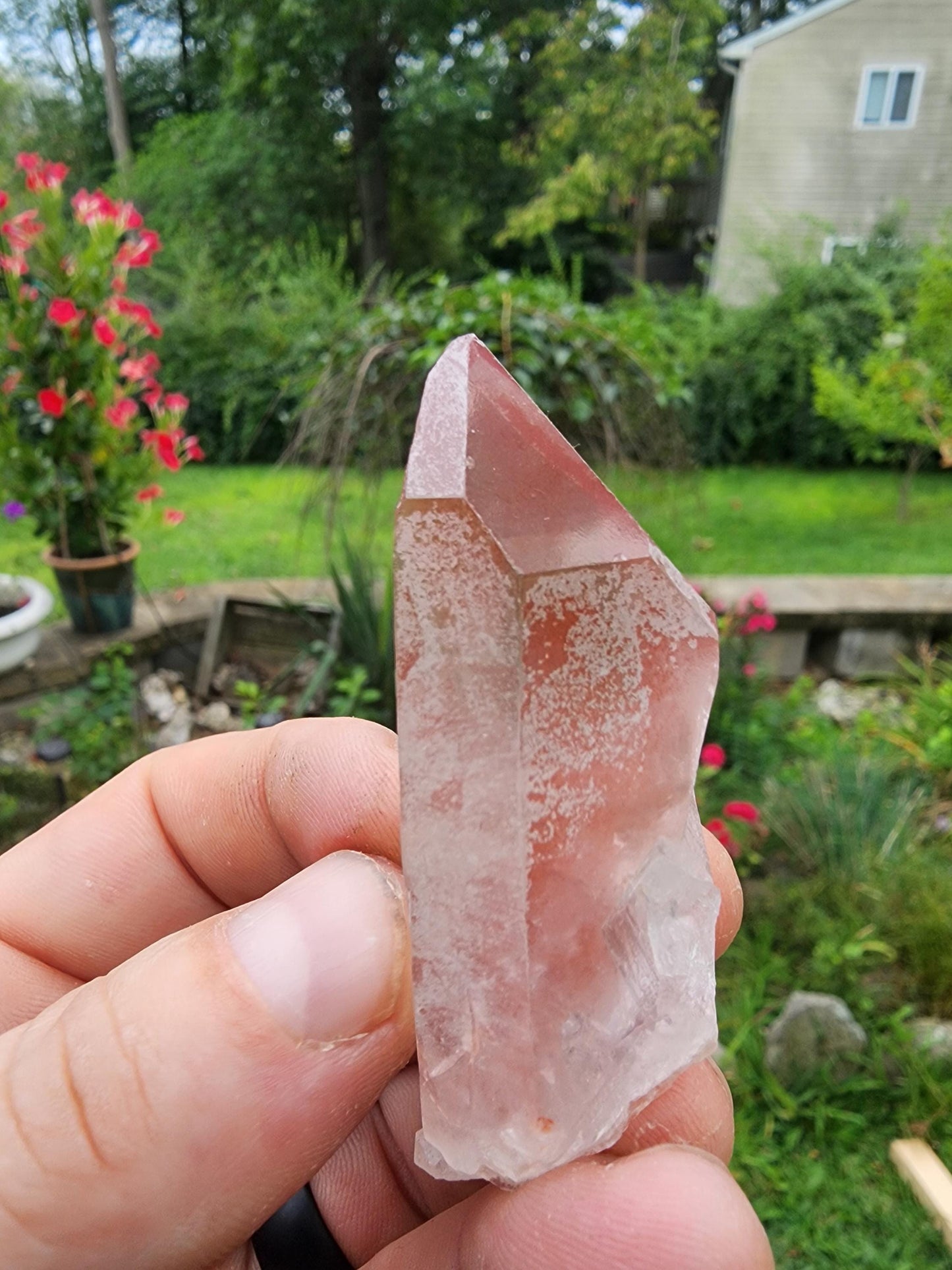 Pink Lemurian Quartz Crystal from Brazil