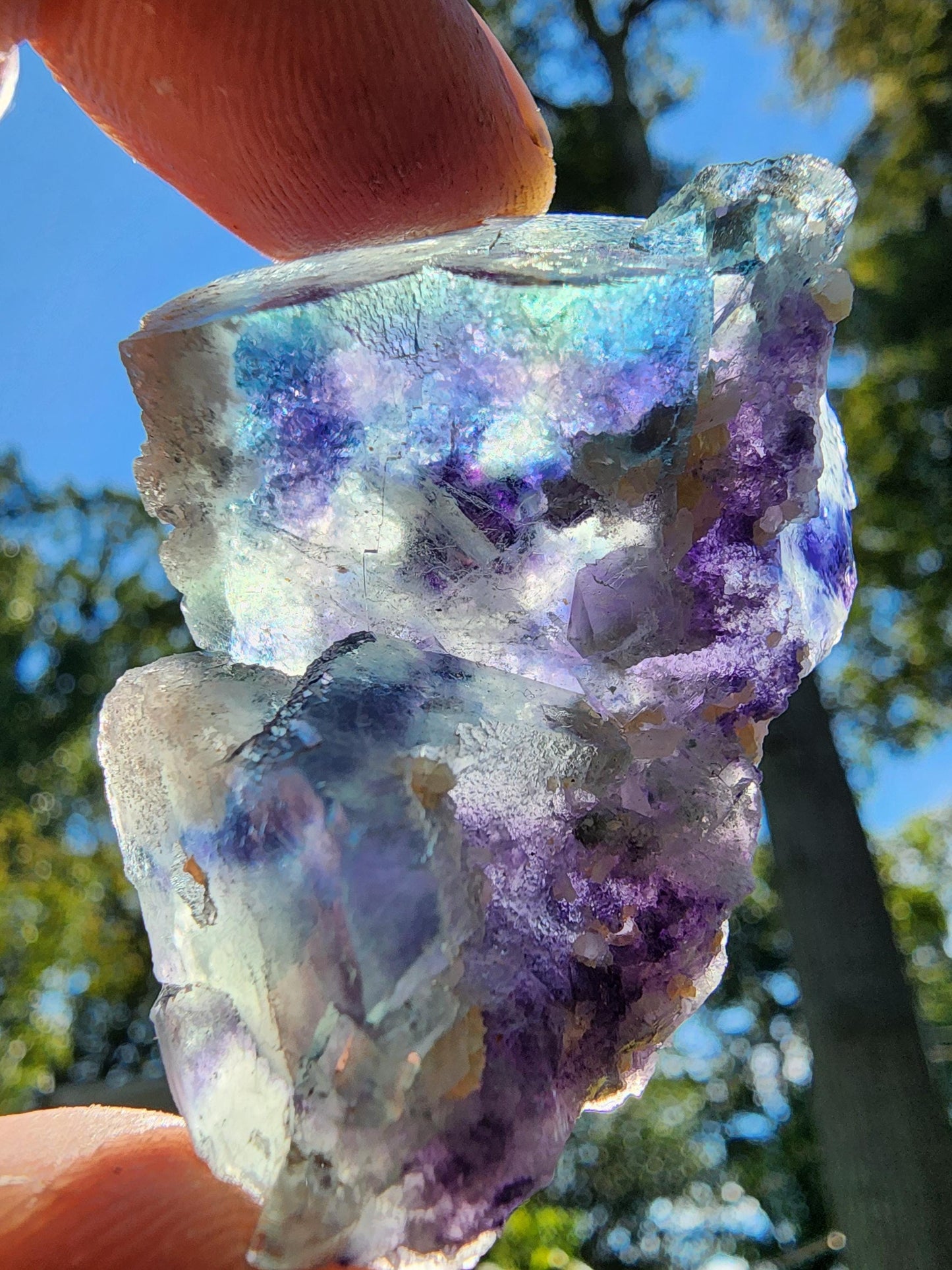 Yindu Fluorite Crystal Cluster from Inner Mongolia, China