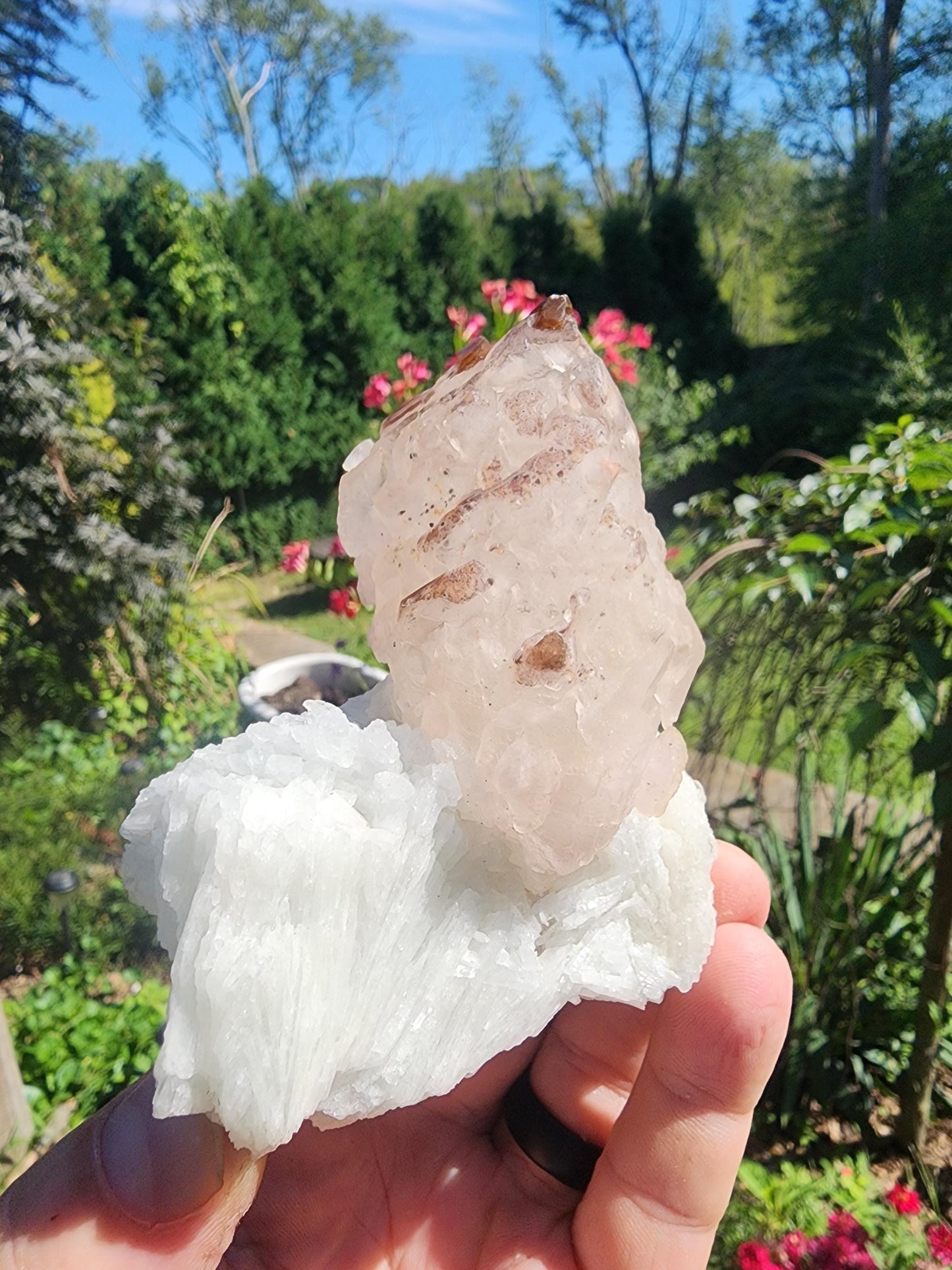 Elestial Crystallized Rose Quartz on Cleavelandite from  Minas Gerais, Brazil