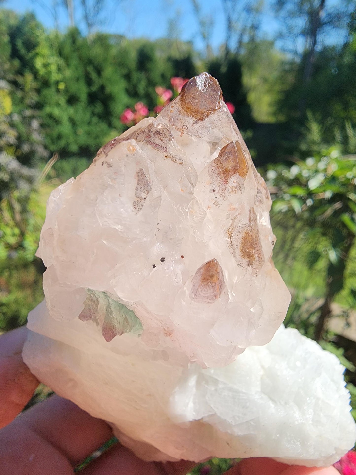 Elestial Crystallized Rose Quartz on Cleavelandite from  Minas Gerais, Brazil