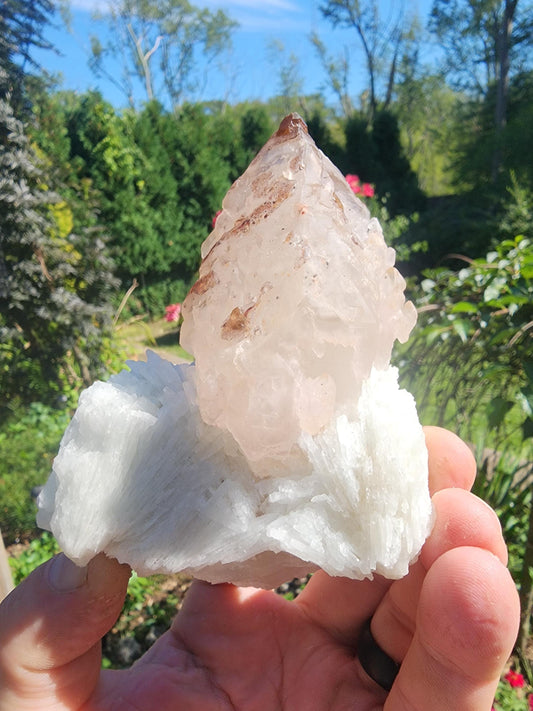 Elestial Crystallized Rose Quartz on Cleavelandite from  Minas Gerais, Brazil