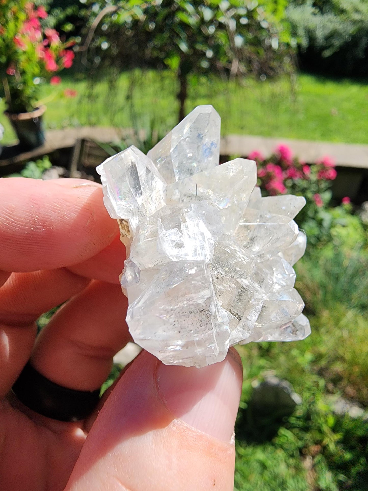 Marcasite Included Calcite from Linwood Mine Iowa USA