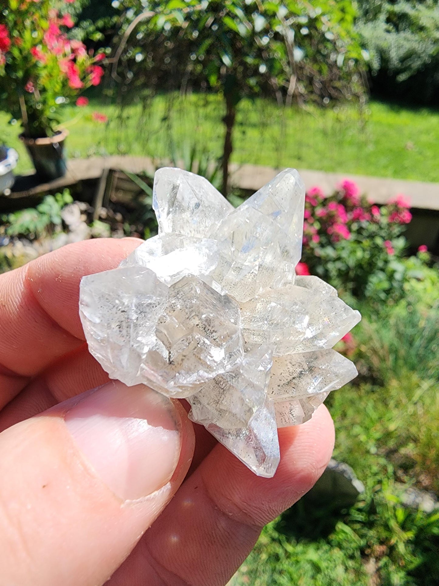 Marcasite Included Calcite from Linwood Mine Iowa USA