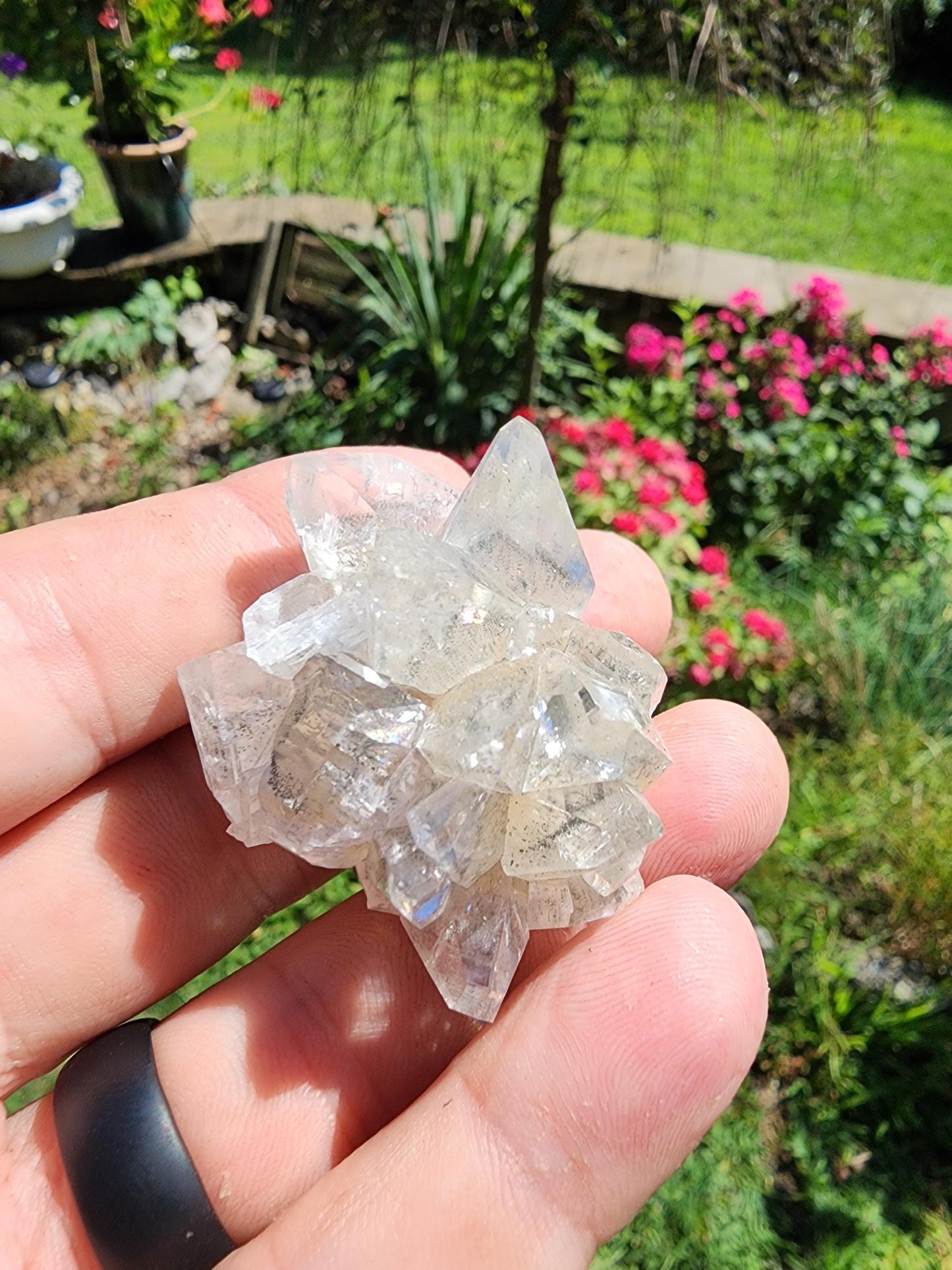 Marcasite Included Calcite from Linwood Mine Iowa USA