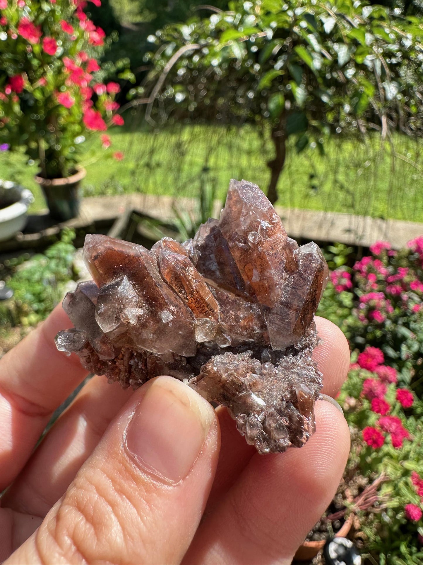 Orange River Quartz Cluster from South Africa