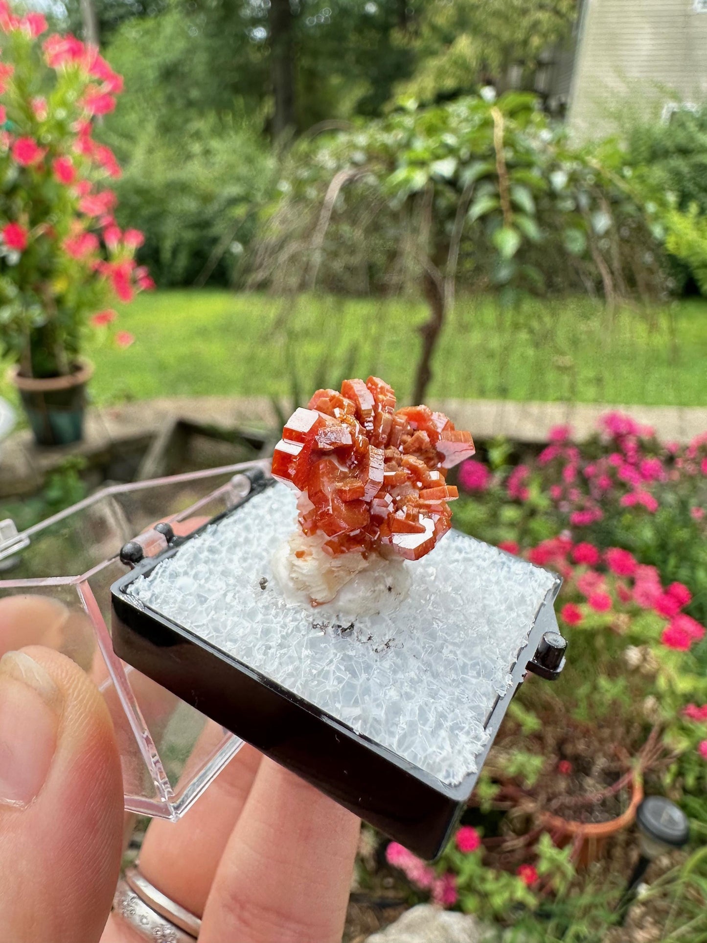 Bright Red Vanadinite Crystals from Morocco