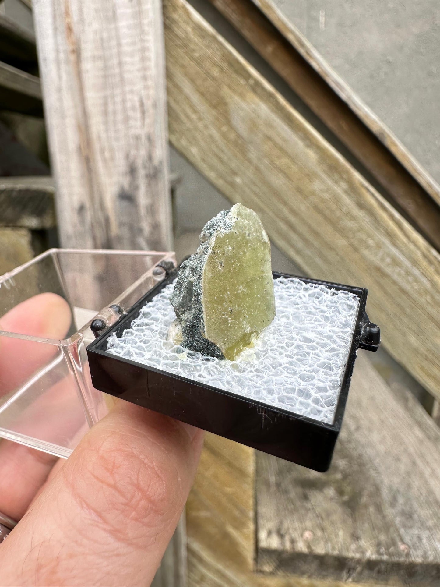 Titanite (Sphene) from Acushnet, Massachusetts, USA