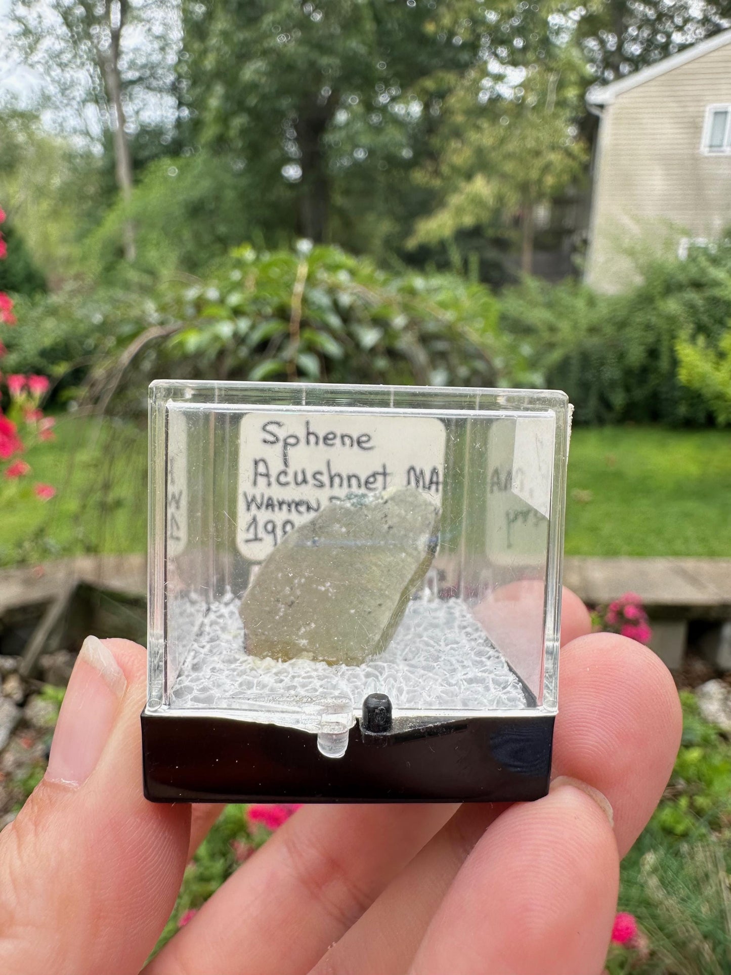 Titanite (Sphene) from Acushnet, Massachusetts, USA