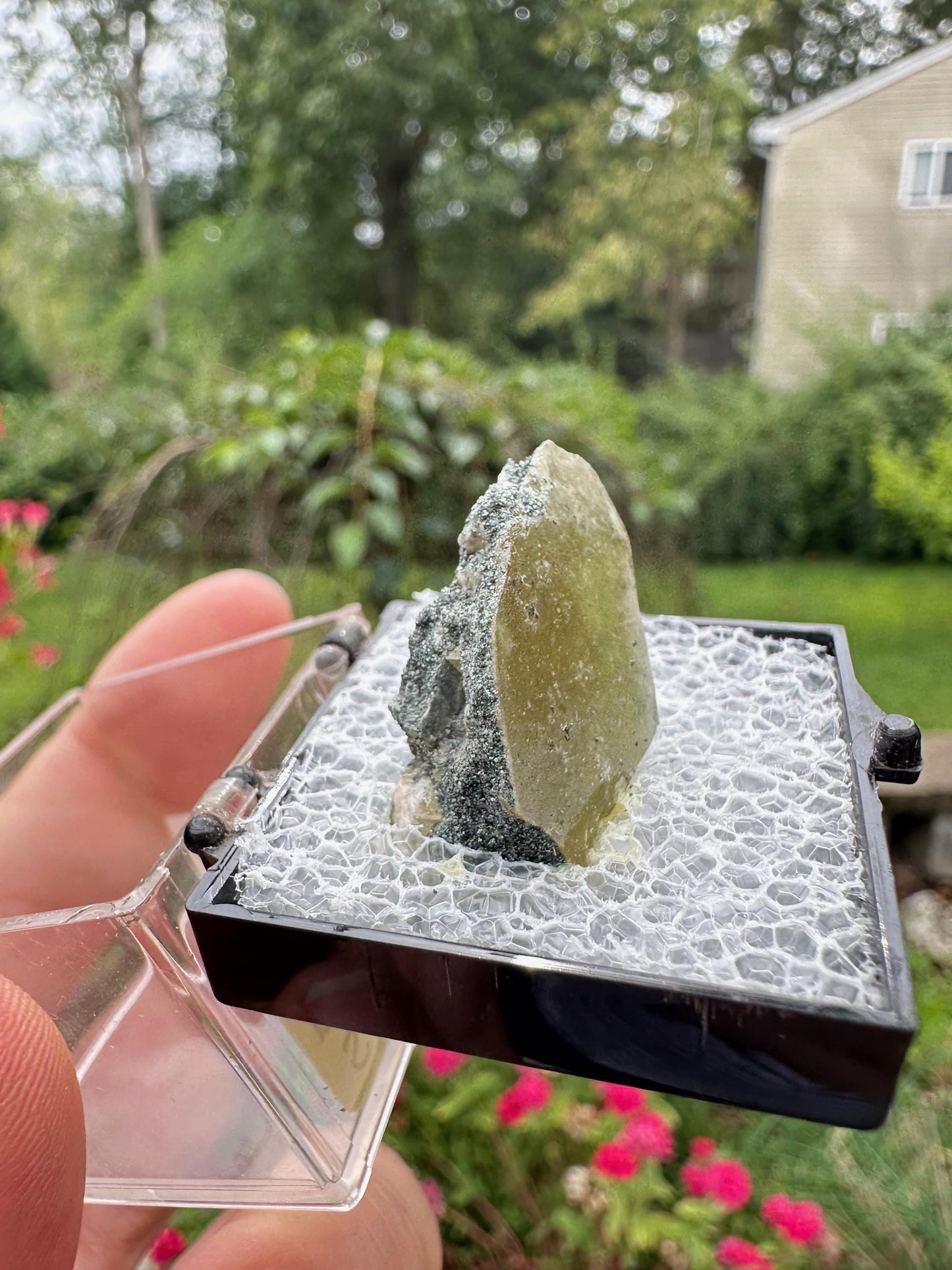 Titanite (Sphene) from Acushnet, Massachusetts, USA