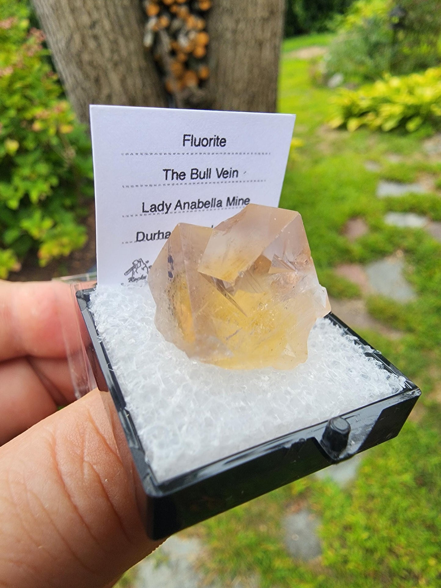Yellow Fluorite from Bull Vein Pocket at Lady Annabella Mine UK