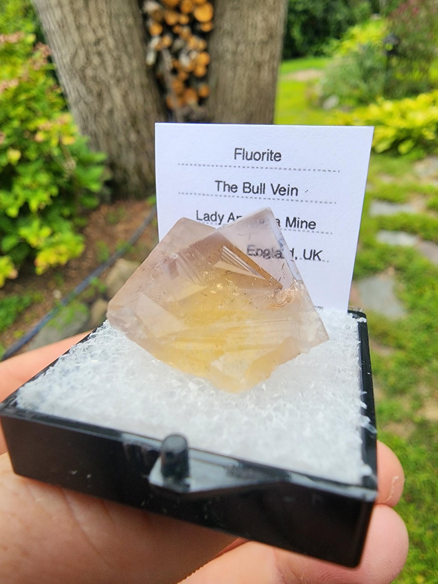 Yellow Fluorite from Bull Vein Pocket at Lady Annabella Mine UK