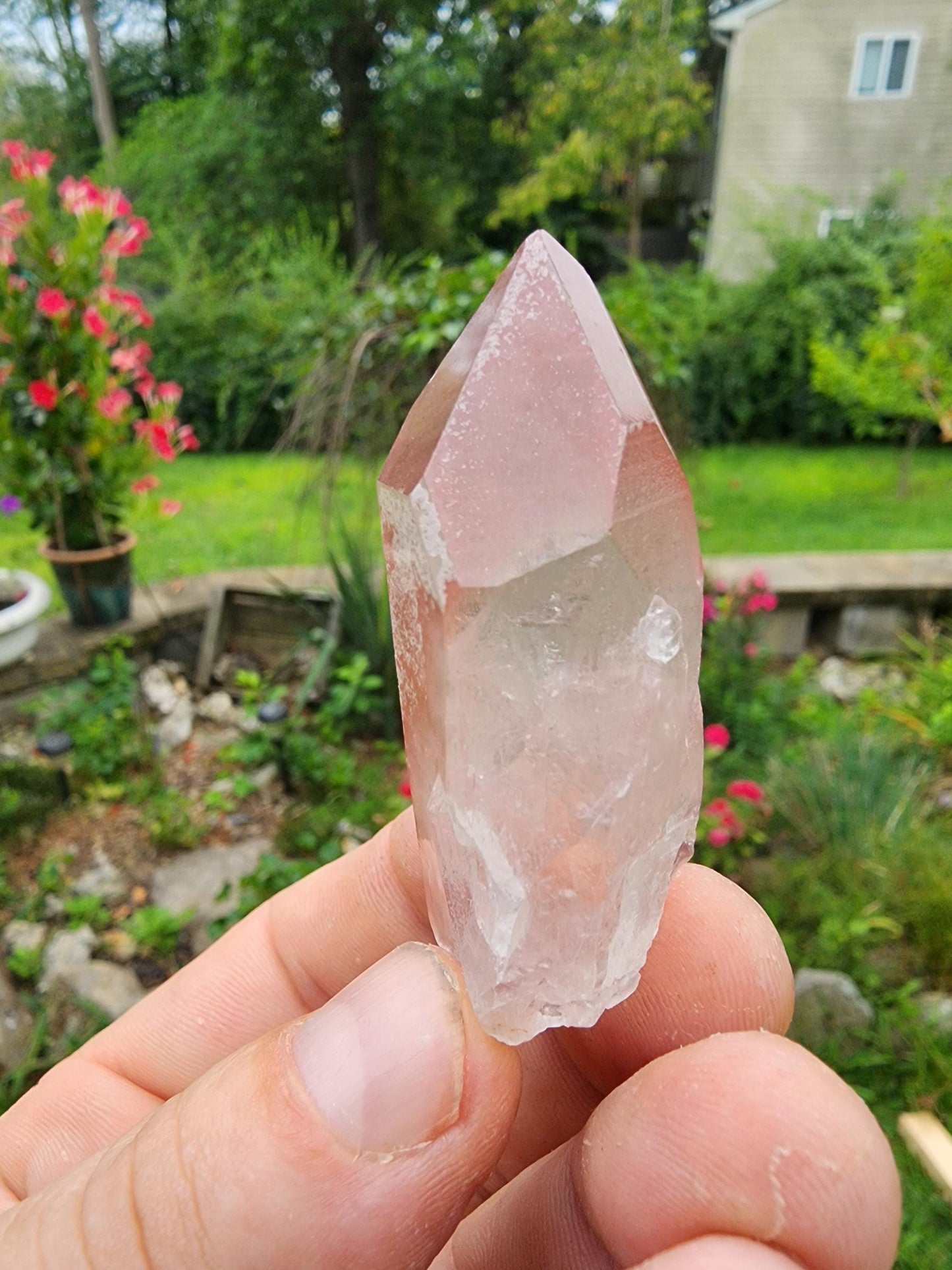 Pink Lemurian Quartz Crystal from Brazil