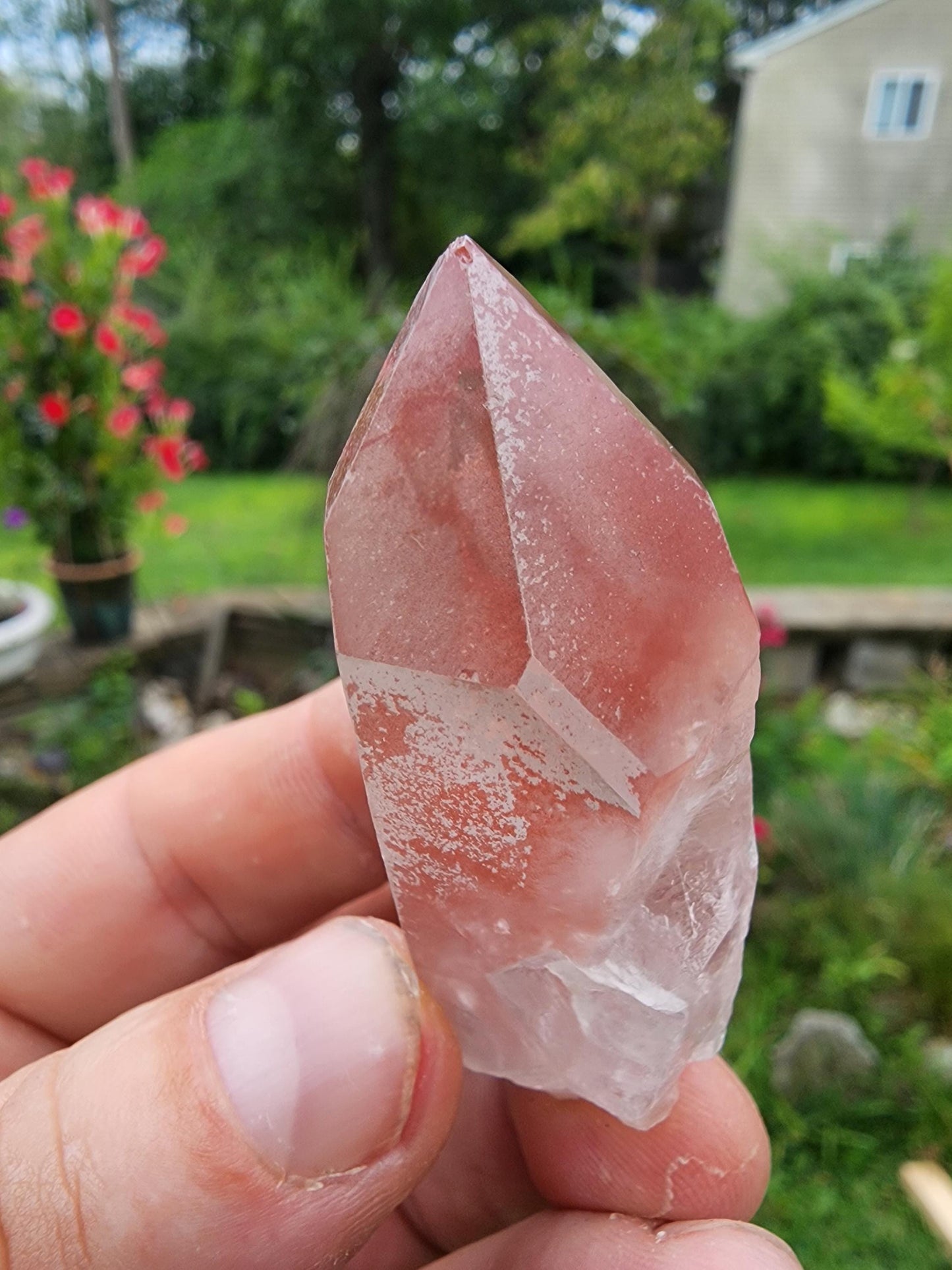 Pink Lemurian Quartz Crystal from Brazil