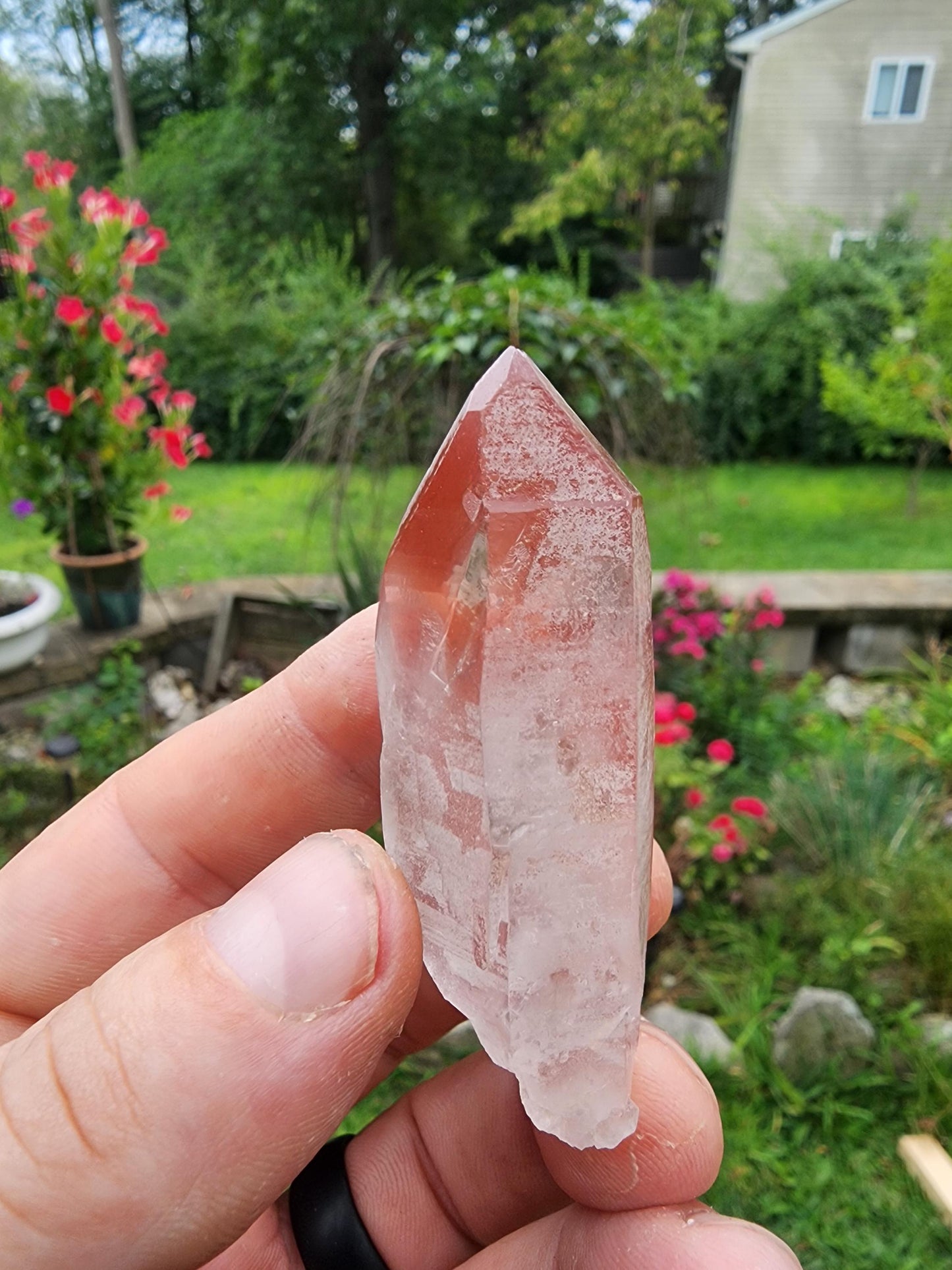 Pink Lemurian Quartz Crystal from Brazil