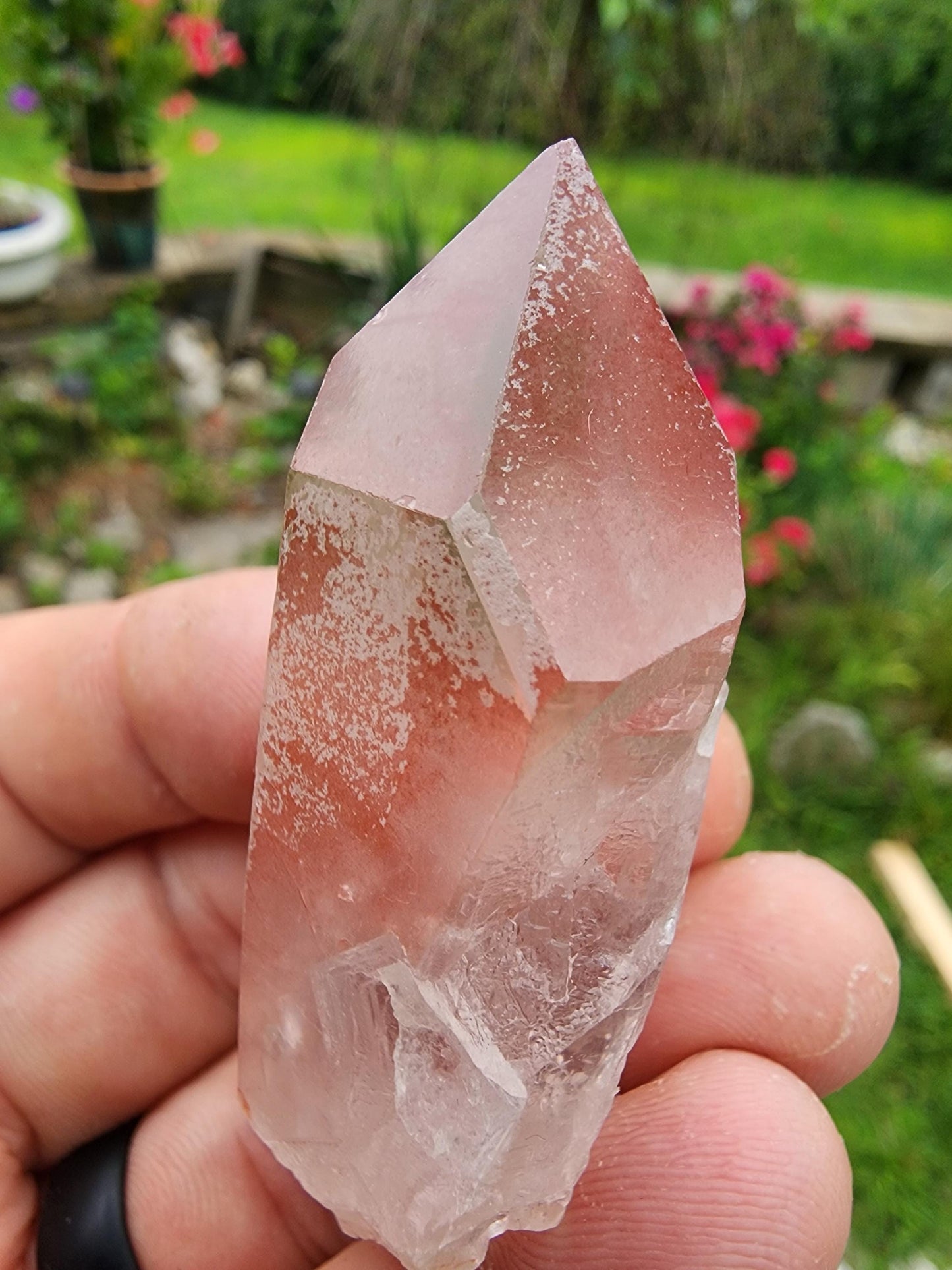 Pink Lemurian Quartz Crystal from Brazil
