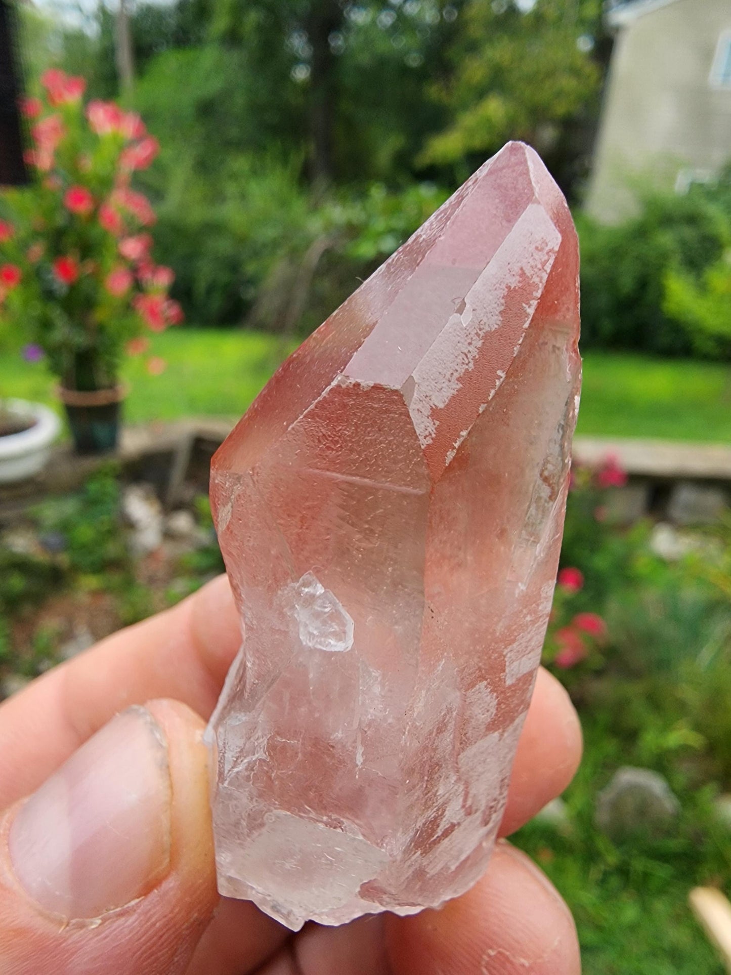 Pink Lemurian Quartz Crystal from Brazil