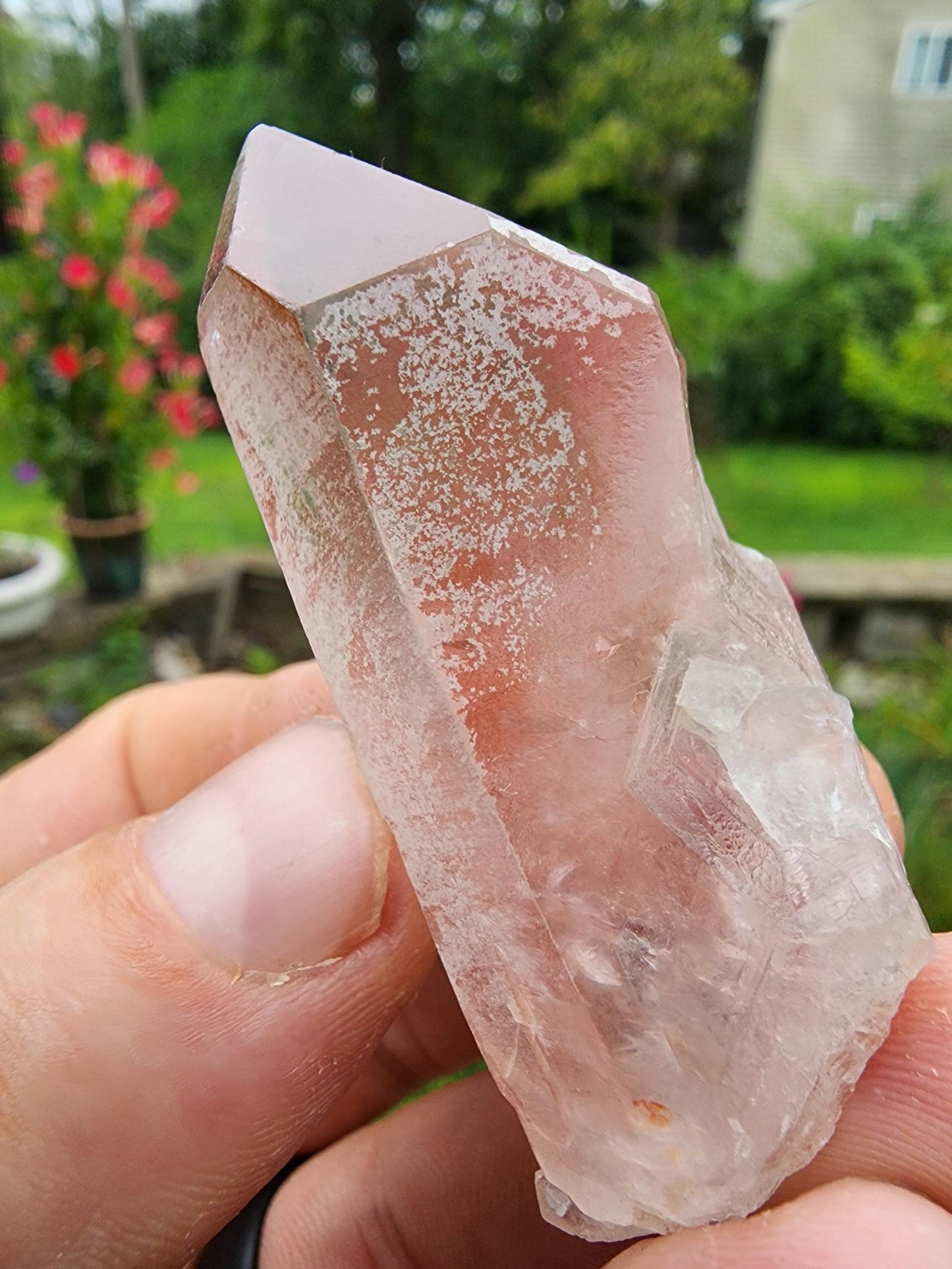 Pink Lemurian Quartz Crystal from Brazil