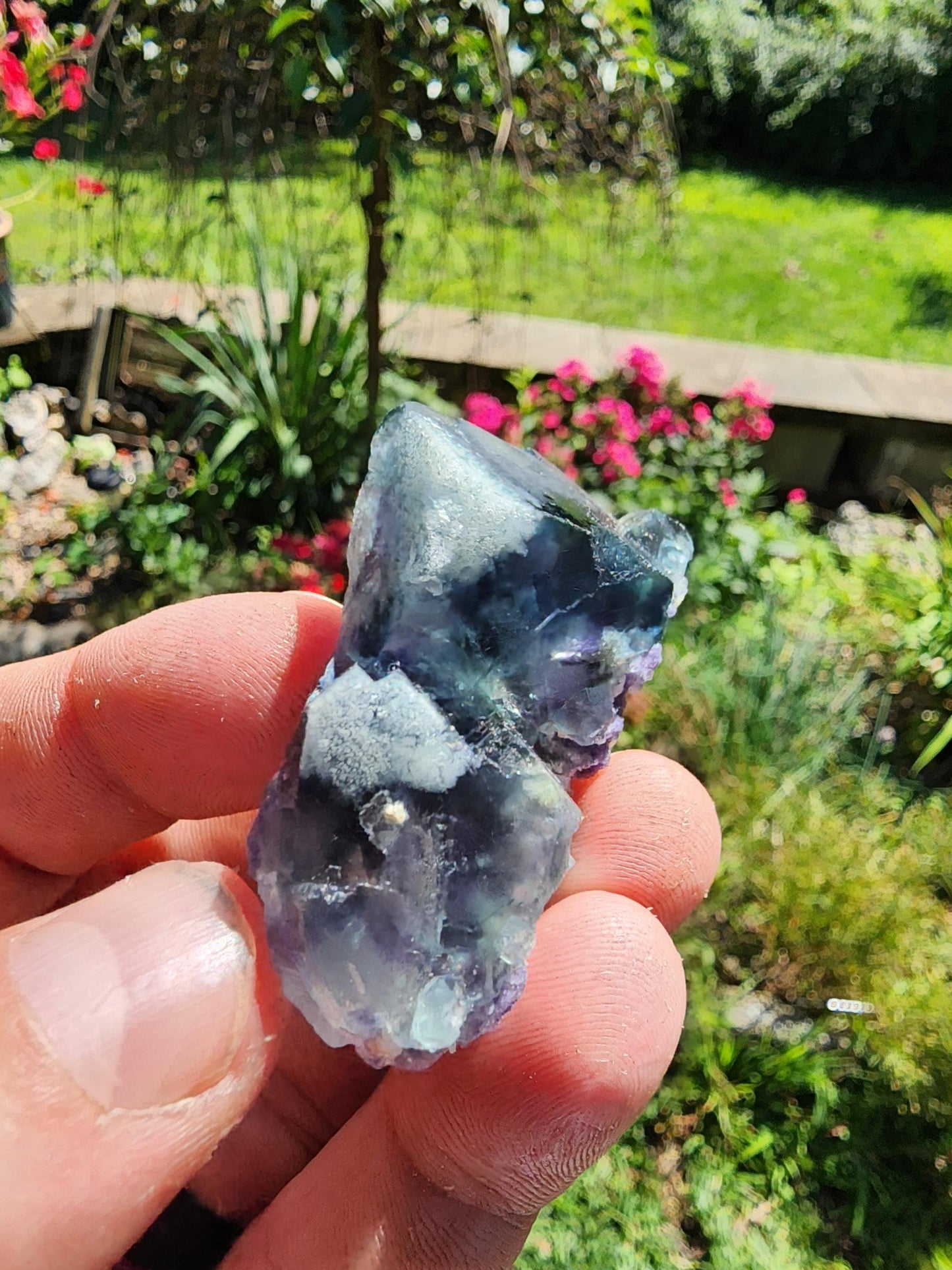 Yindu Fluorite Crystal Cluster from Inner Mongolia, China