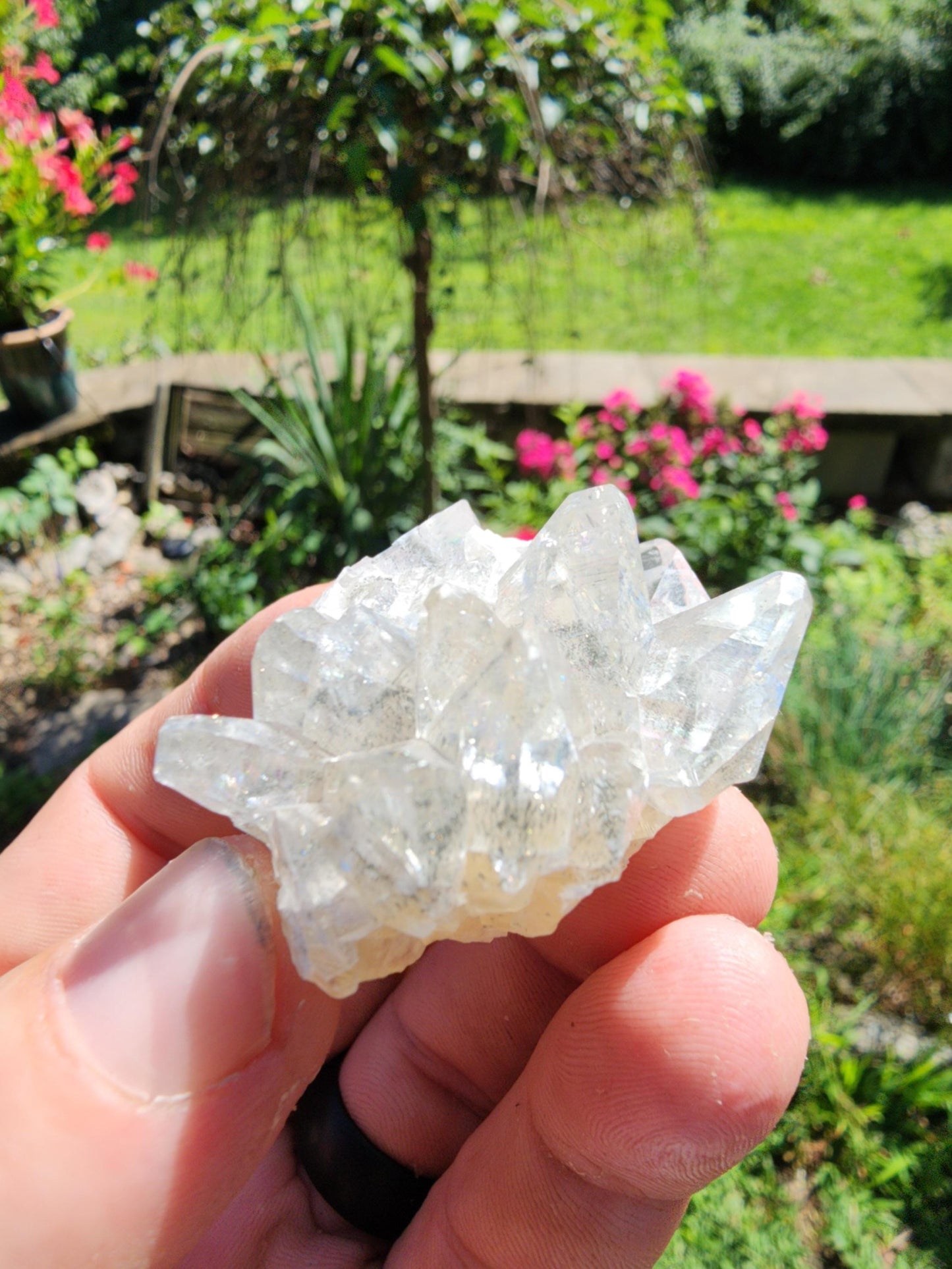 Marcasite Included Calcite from Linwood Mine Iowa USA