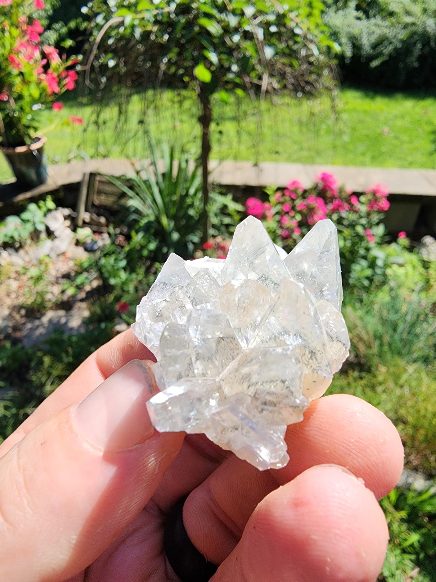 Marcasite Included Calcite from Linwood Mine Iowa USA