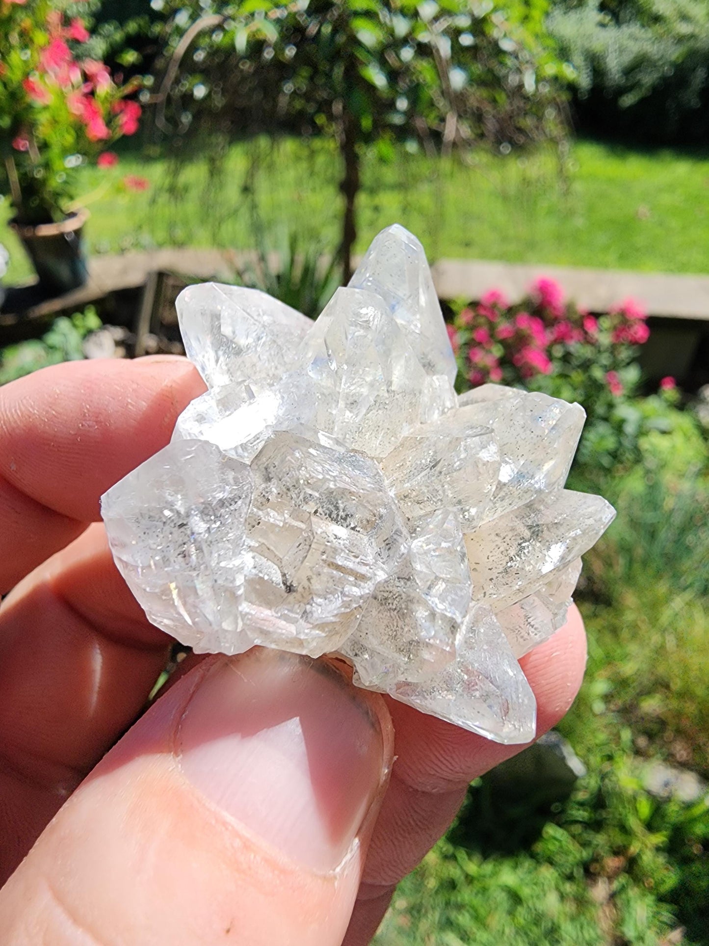 Marcasite Included Calcite from Linwood Mine Iowa USA