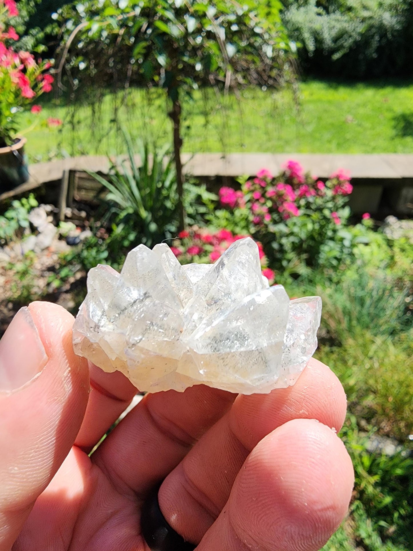 Marcasite Included Calcite from Linwood Mine Iowa USA