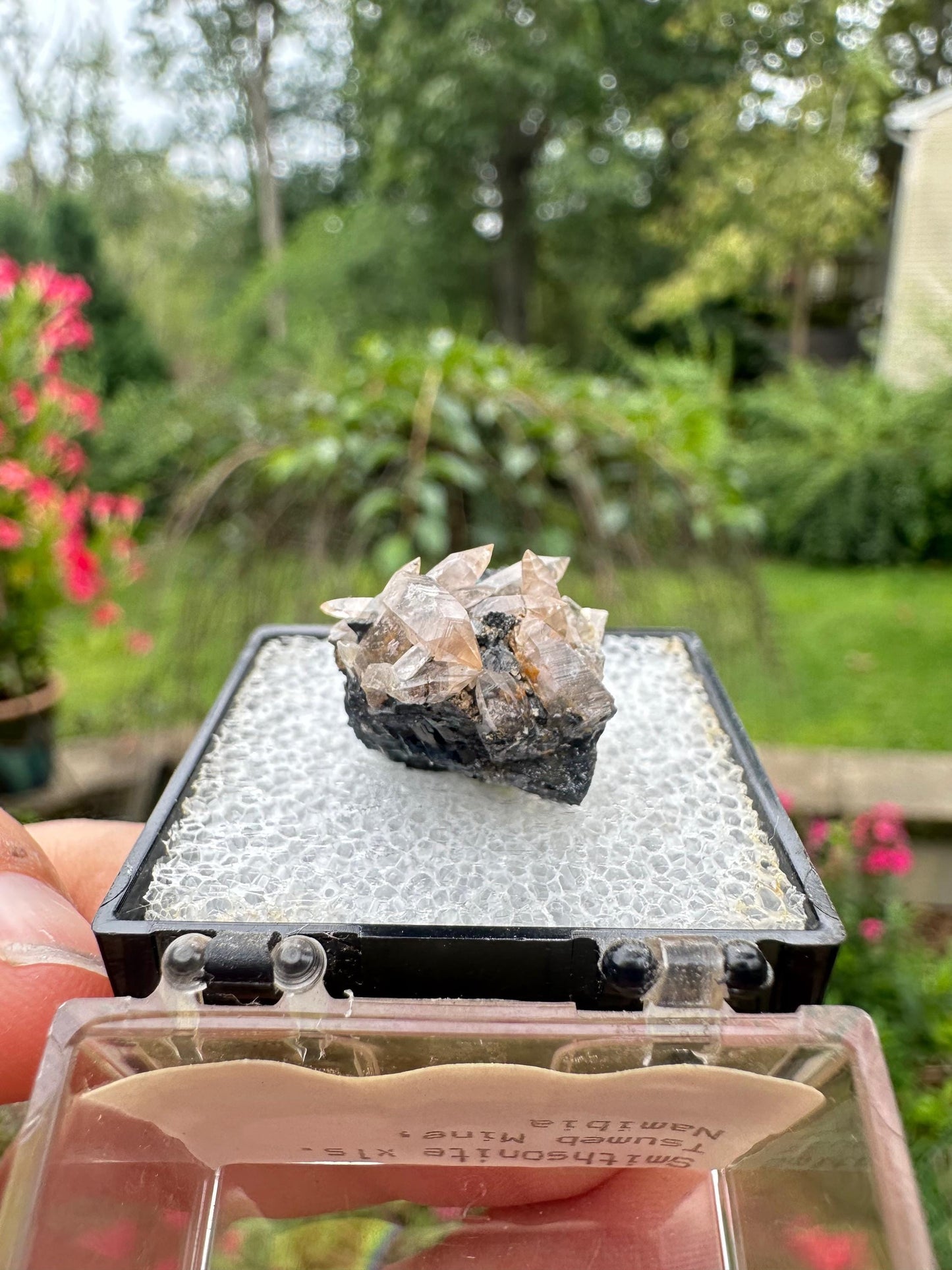 Smithsonite var. Cobaltoan from Tsumeb mine, Namibia