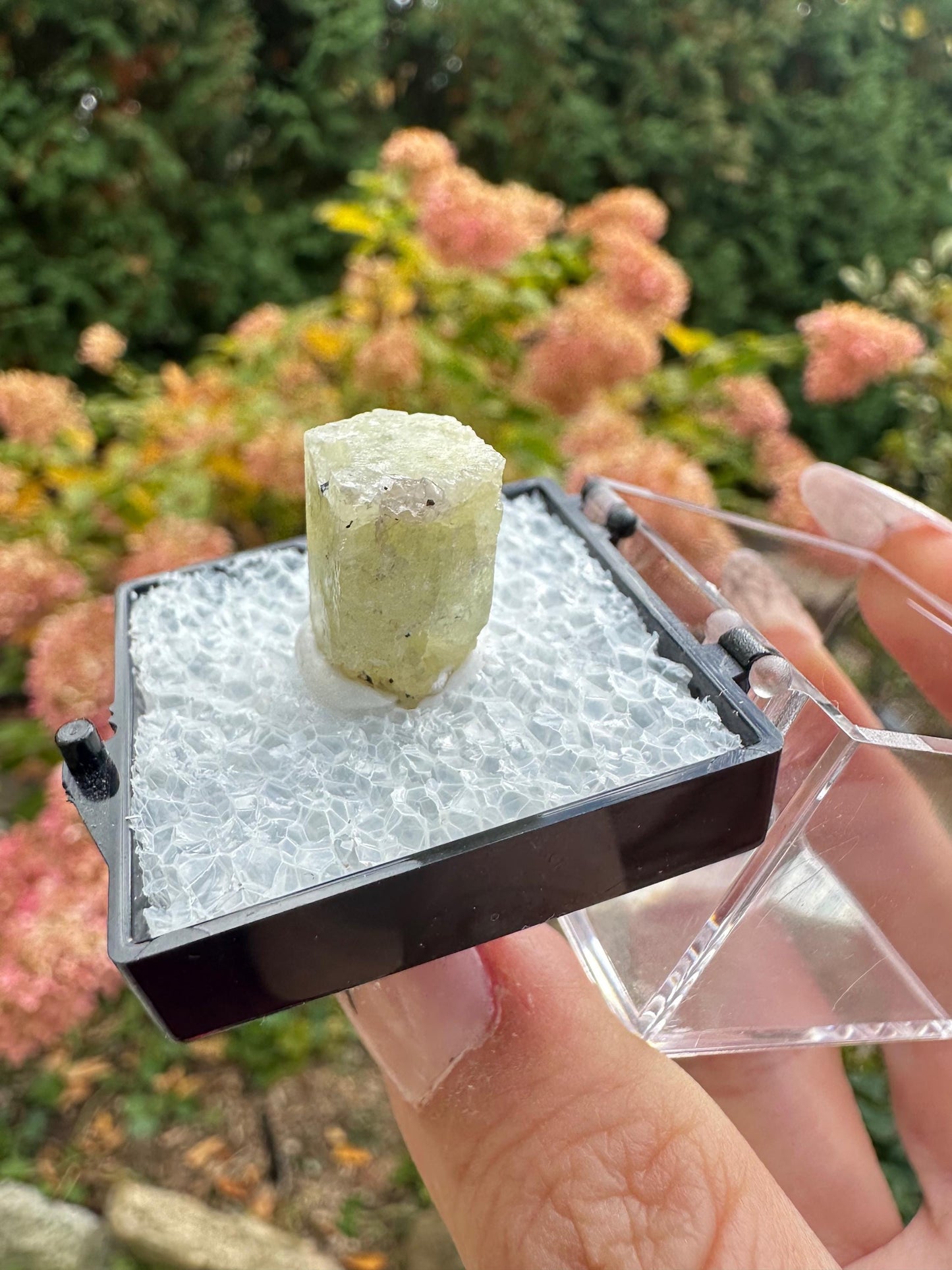 New England Heliodor Crystal from Connecticut