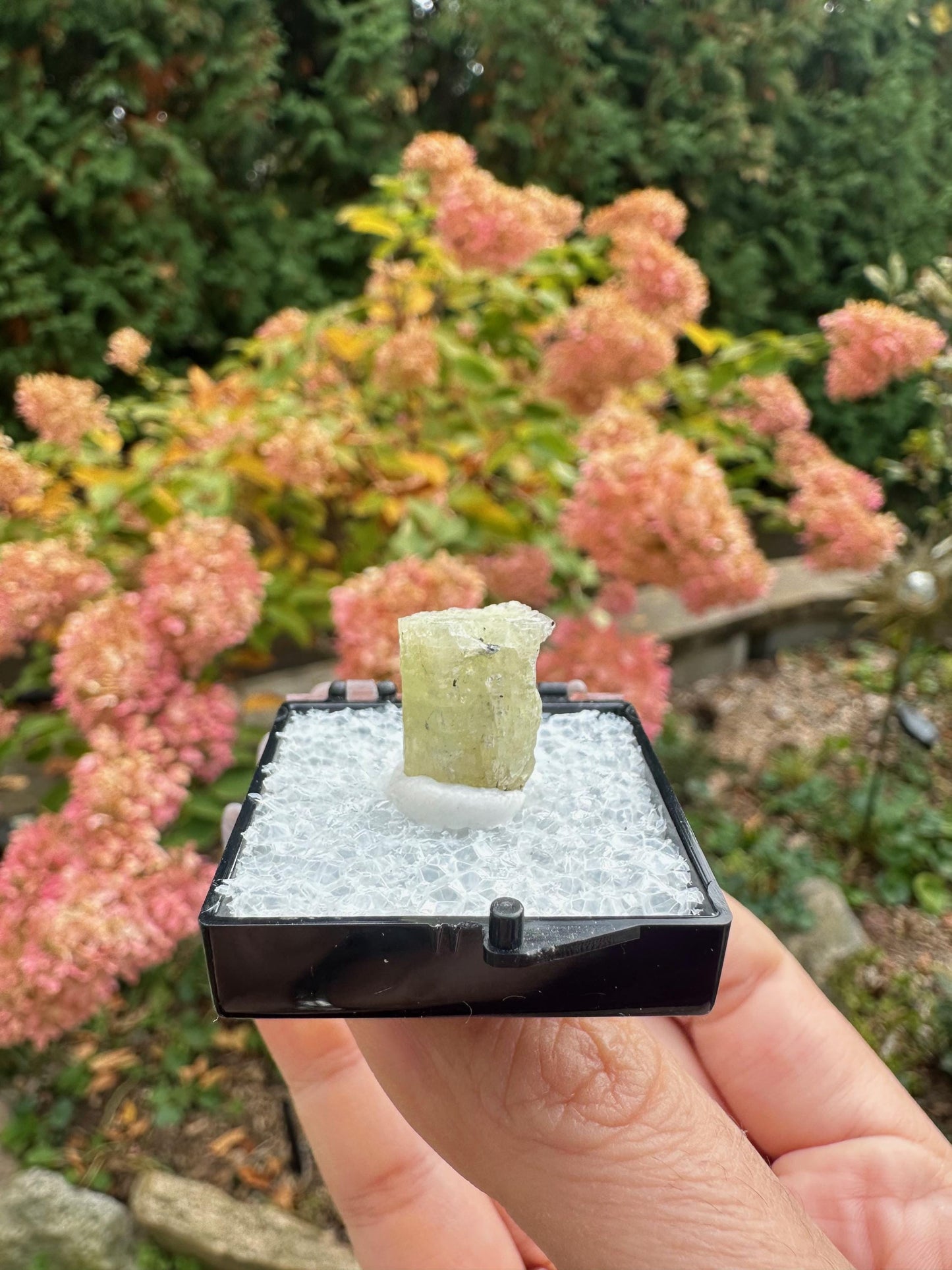 New England Heliodor Crystal from Connecticut