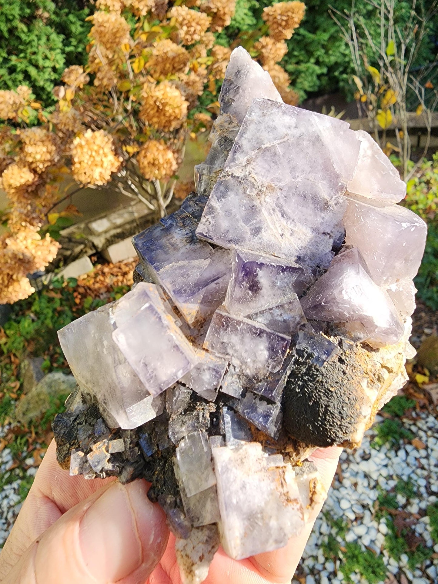 Weardale Fluorite Crystal from Durham County, England